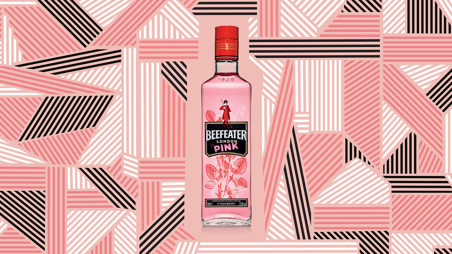 Dynamic Contrast - Beefeater In Monochrome Background