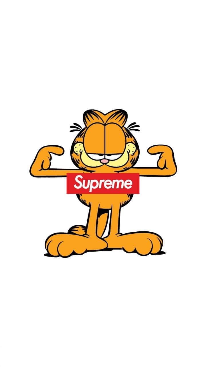 Dynamic Supreme Cartoon Style