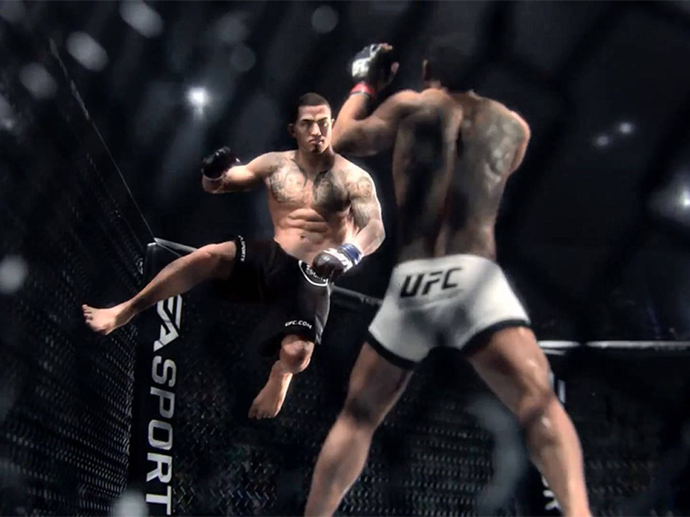 Ea Sports Ufc Action Game 4k Background