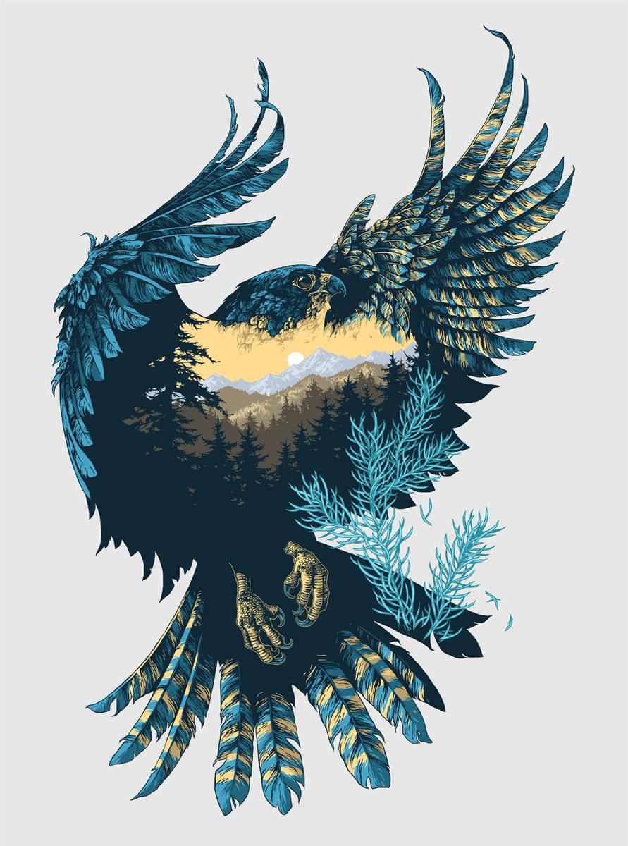 Eagle And Nature Cool Android Background