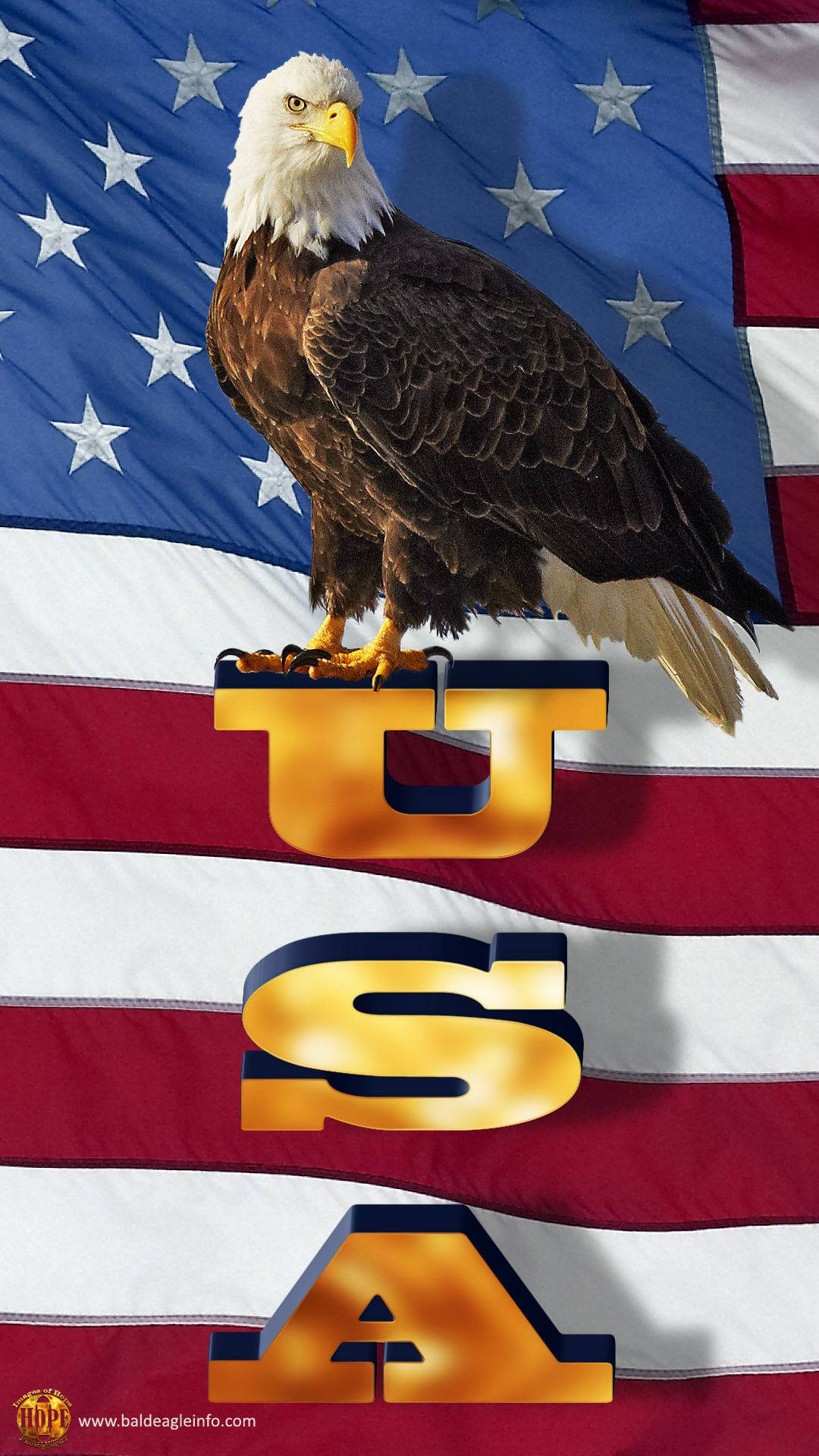 Eagle And The Flag Of America Iphone Background