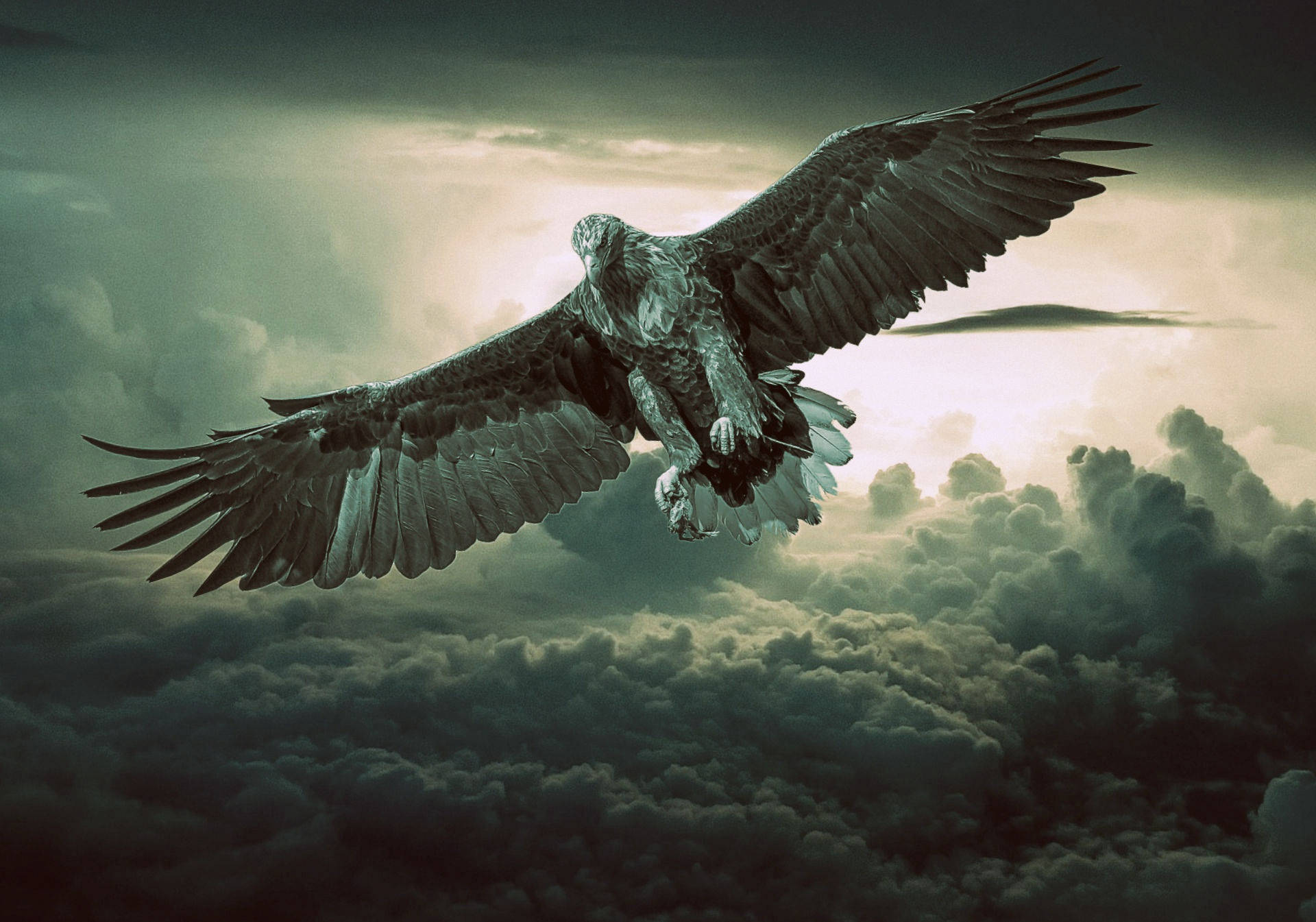 Eagle In Clouds Background