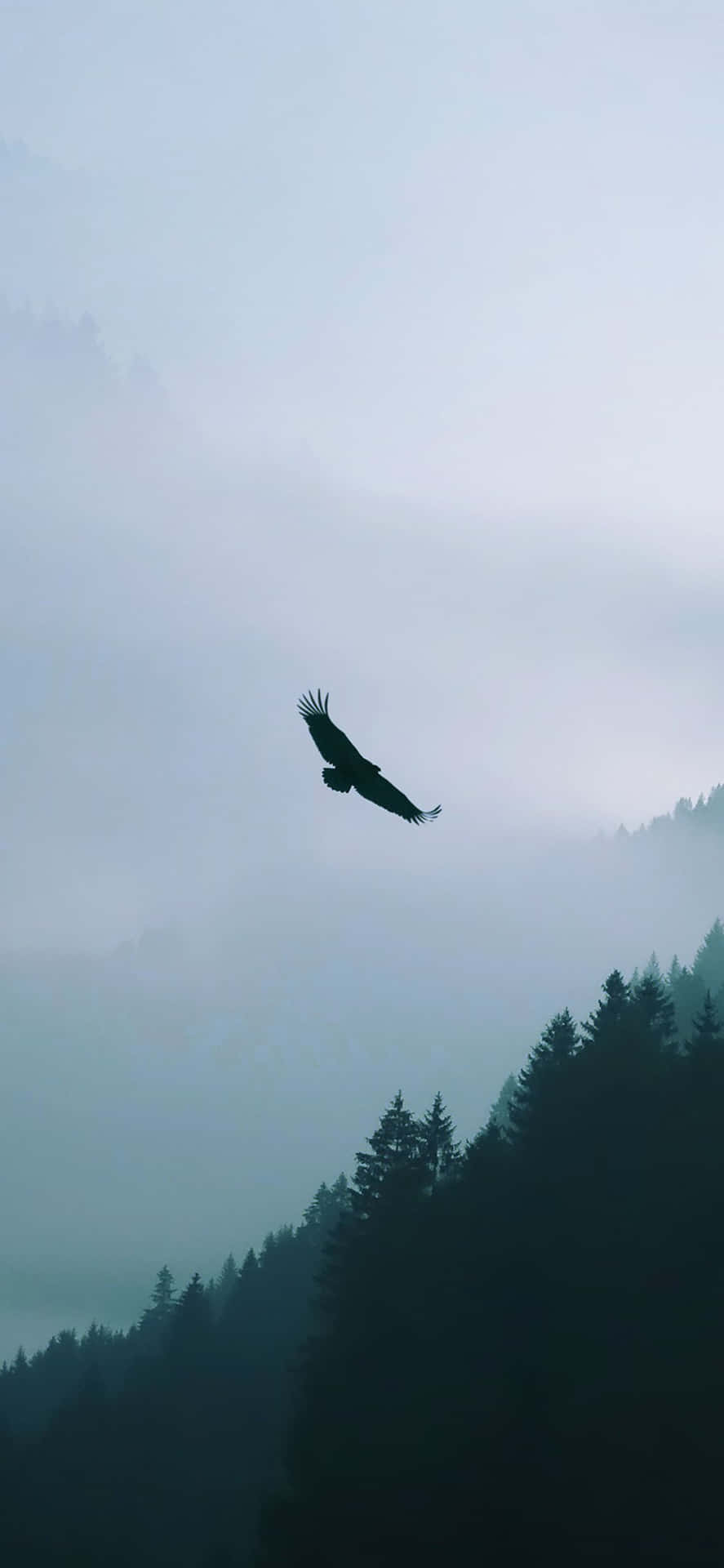 Eagle Over Horizon Iphone