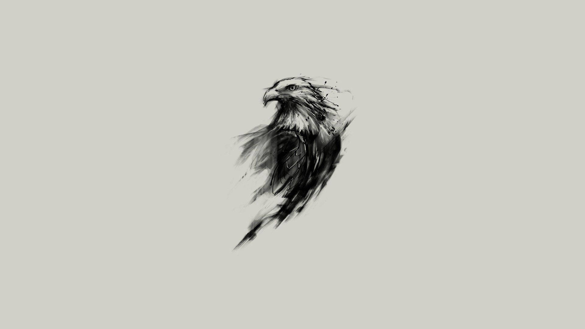 Eagle Sketch Art Background