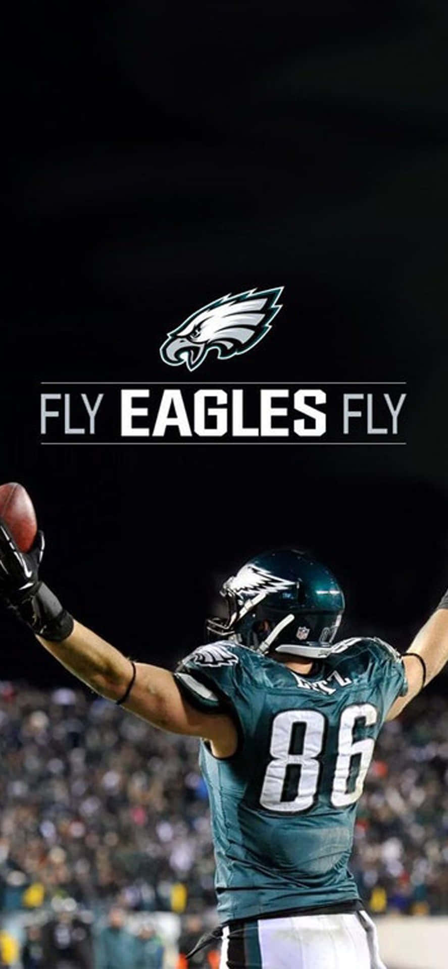 Eagles Football Fly Background