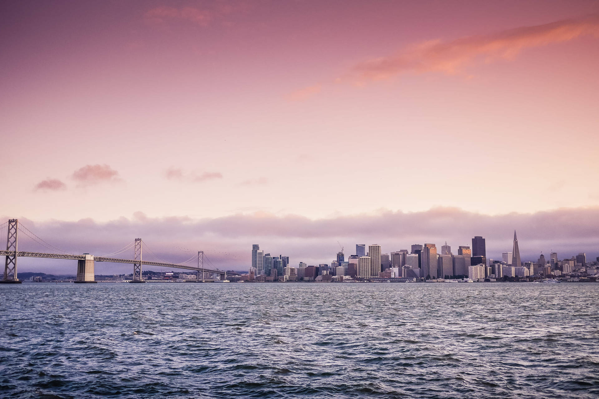 Early Evening San Francisco Skyline Background