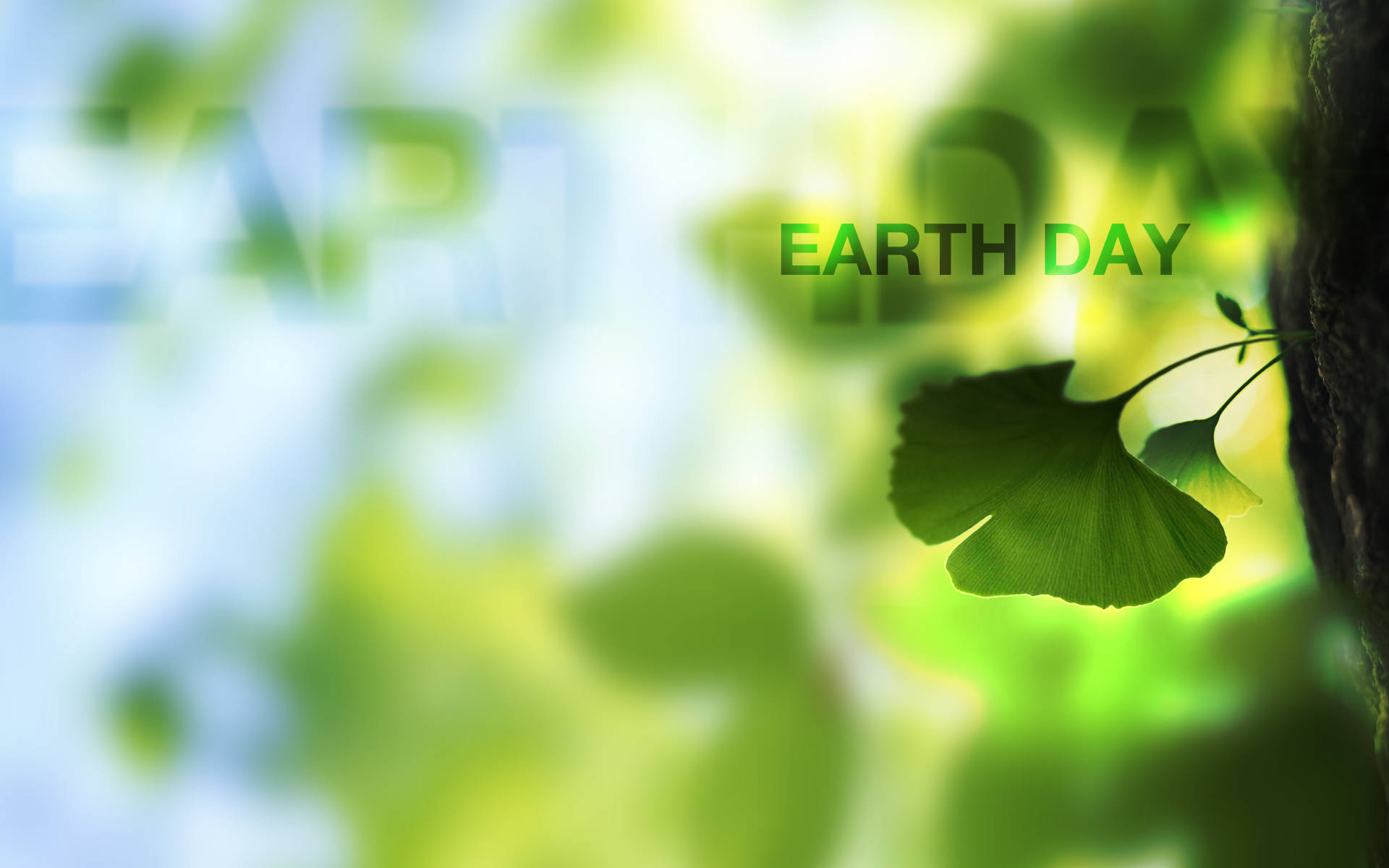 Earth Day Leaves Background
