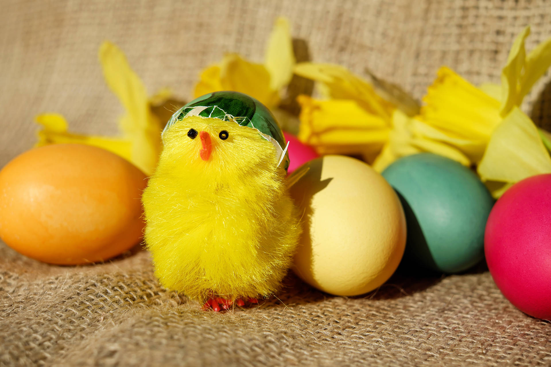 Easter Eggs And Yellow Chick Background