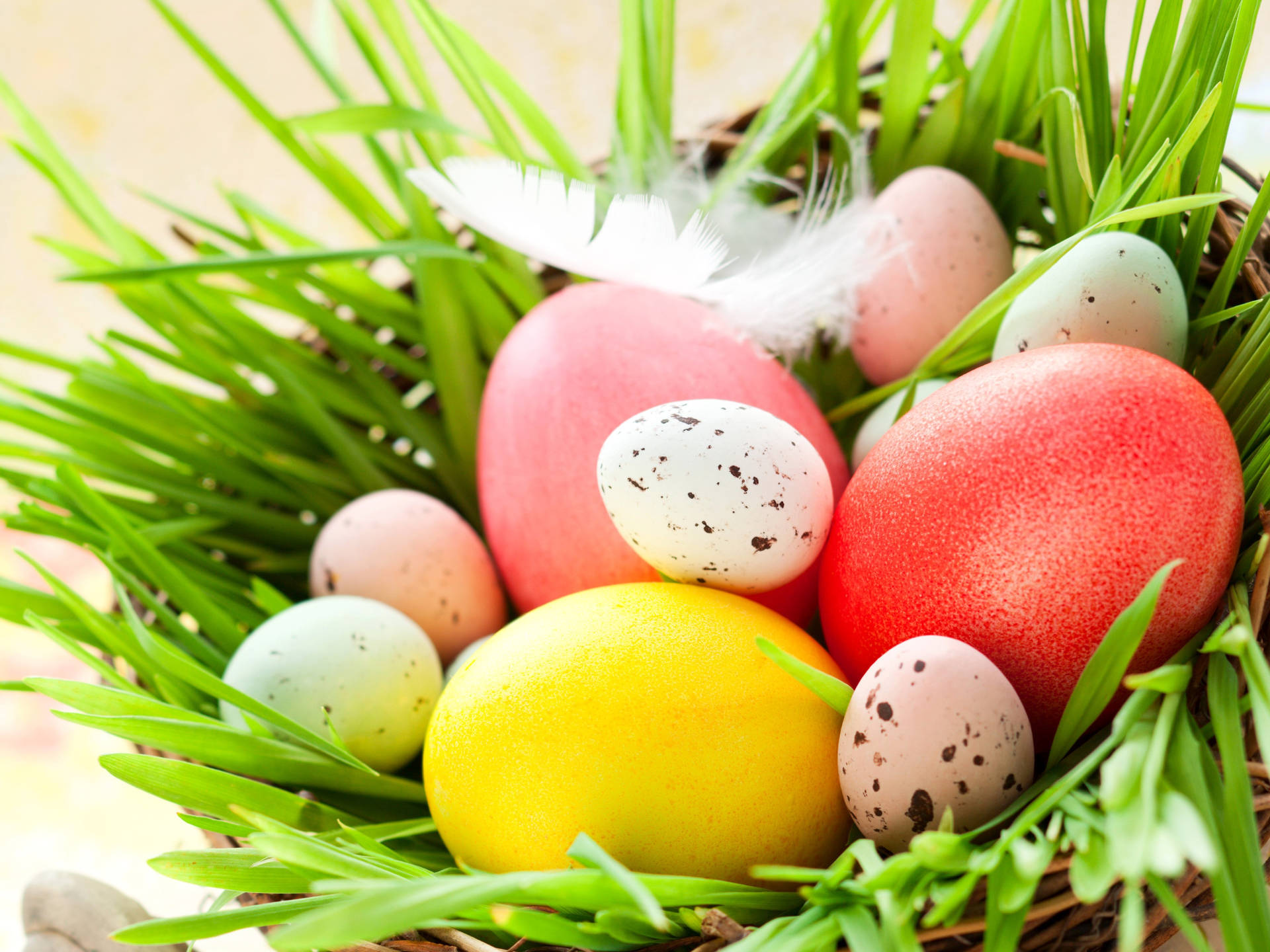 Easter Eggs In A Basket On Grass Background