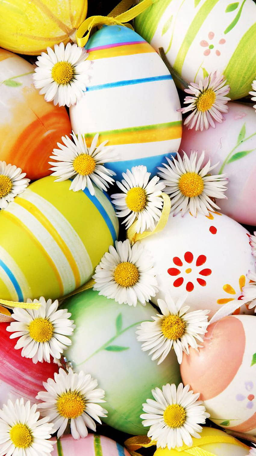 Easter Eggs With Daisies And Flowers Background