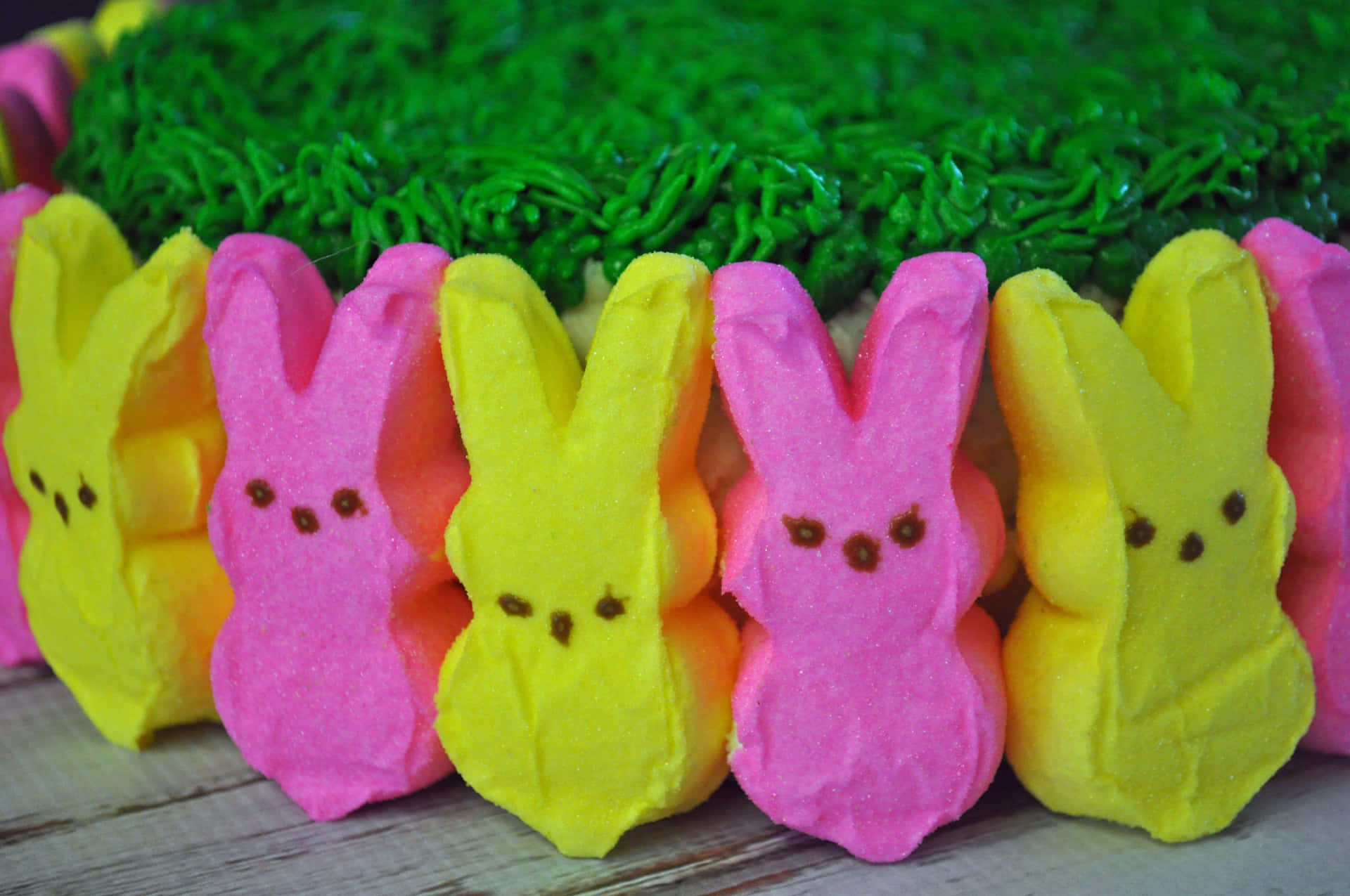 Easter Peeps Bunny Candies Background
