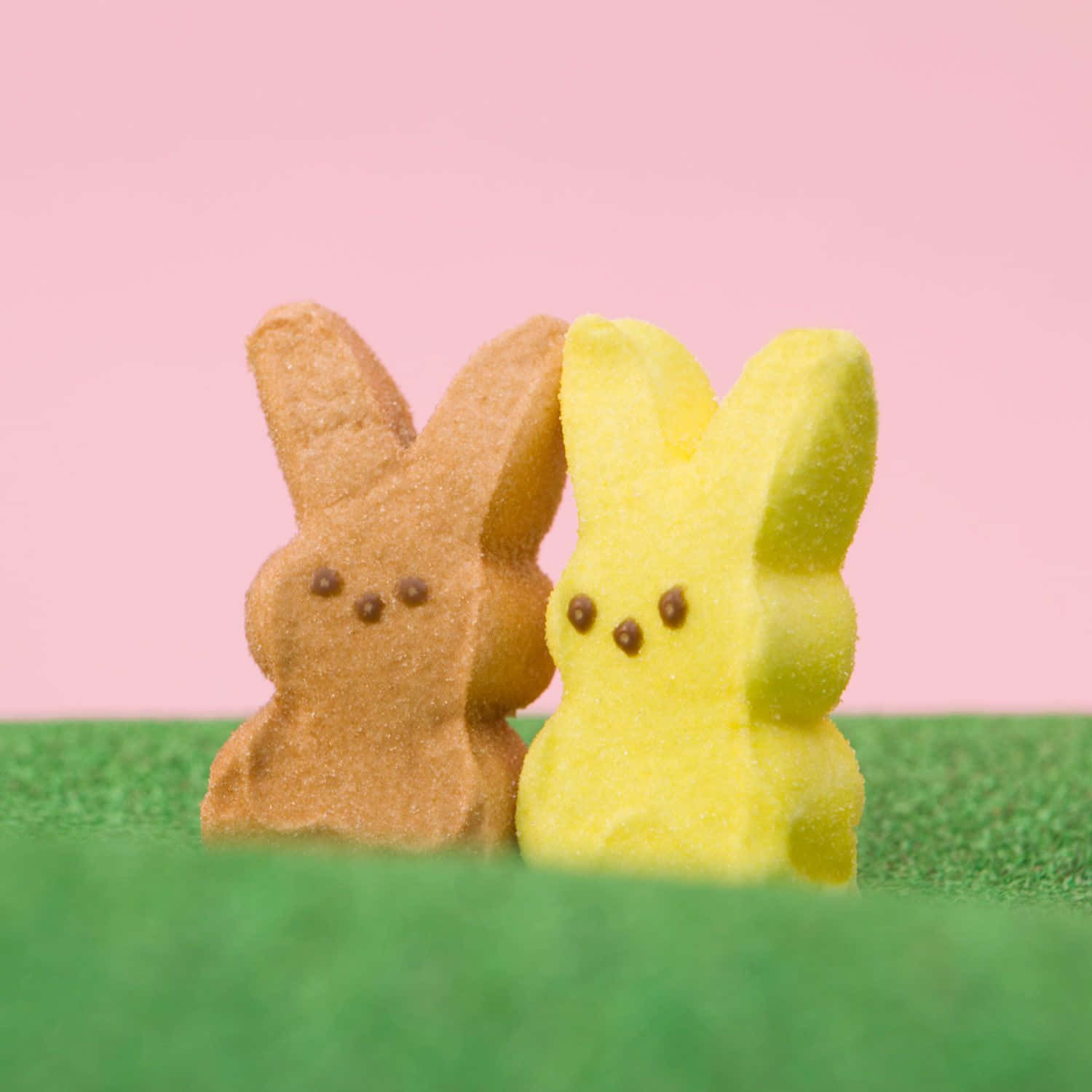 Easter Peeps Bunny Candy Background