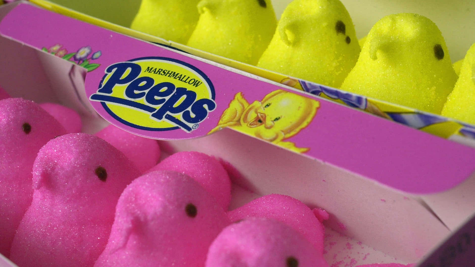 Easter Peeps Marshmallow Candies Background