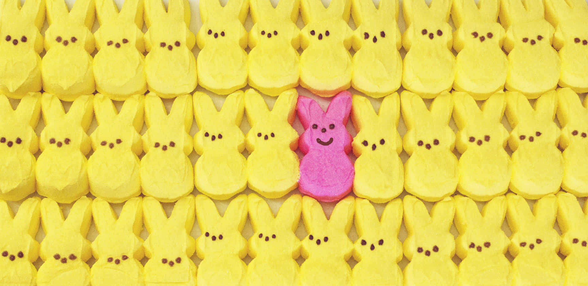 Easter Peeps Pink Bunny Among Yellow Chicks Background