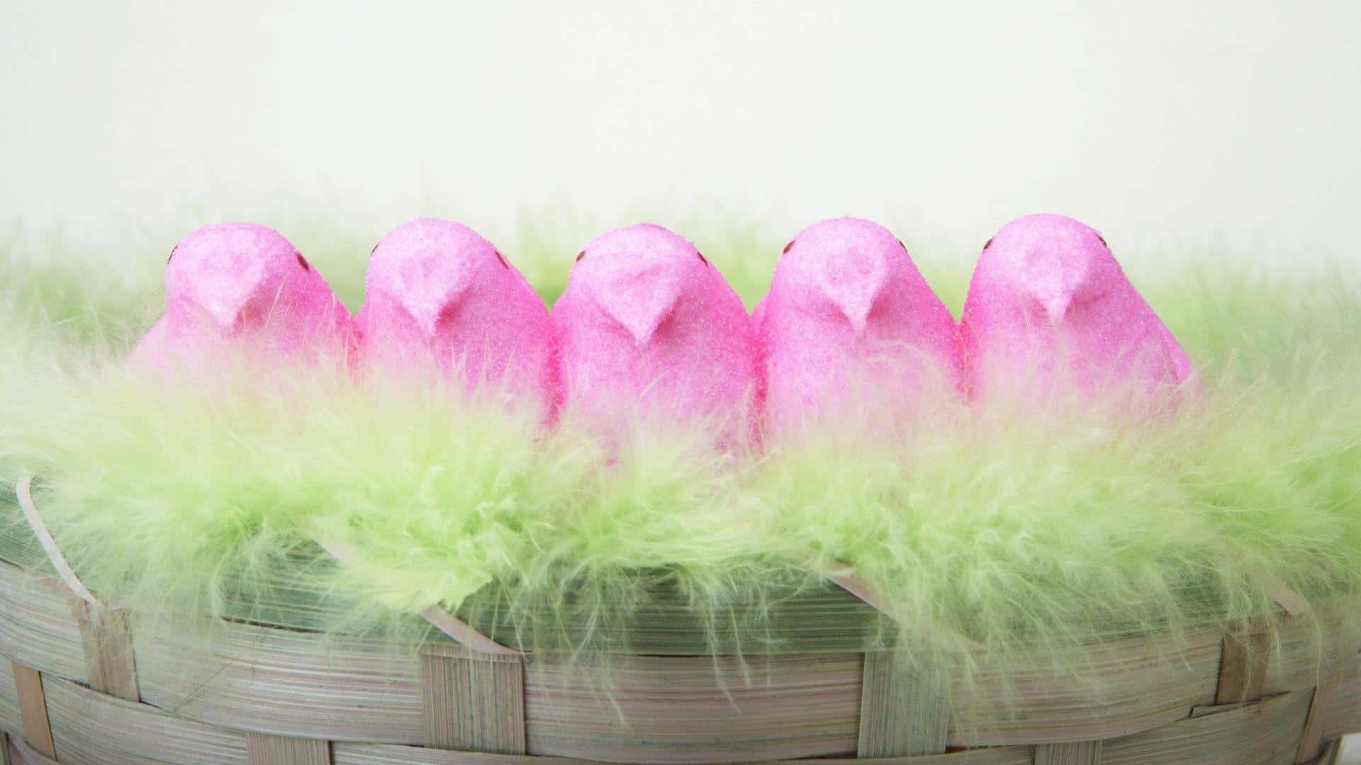 Easter Peeps Pink Chicksin Basket Background