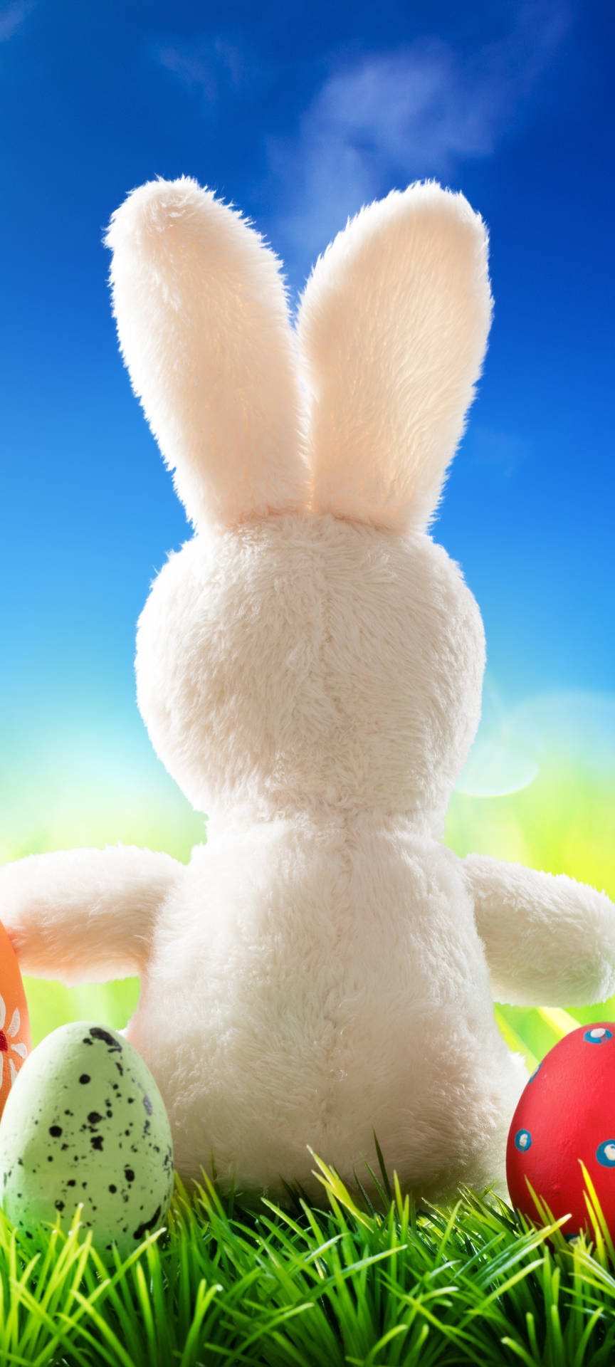 Easter White Bunny Phone Background