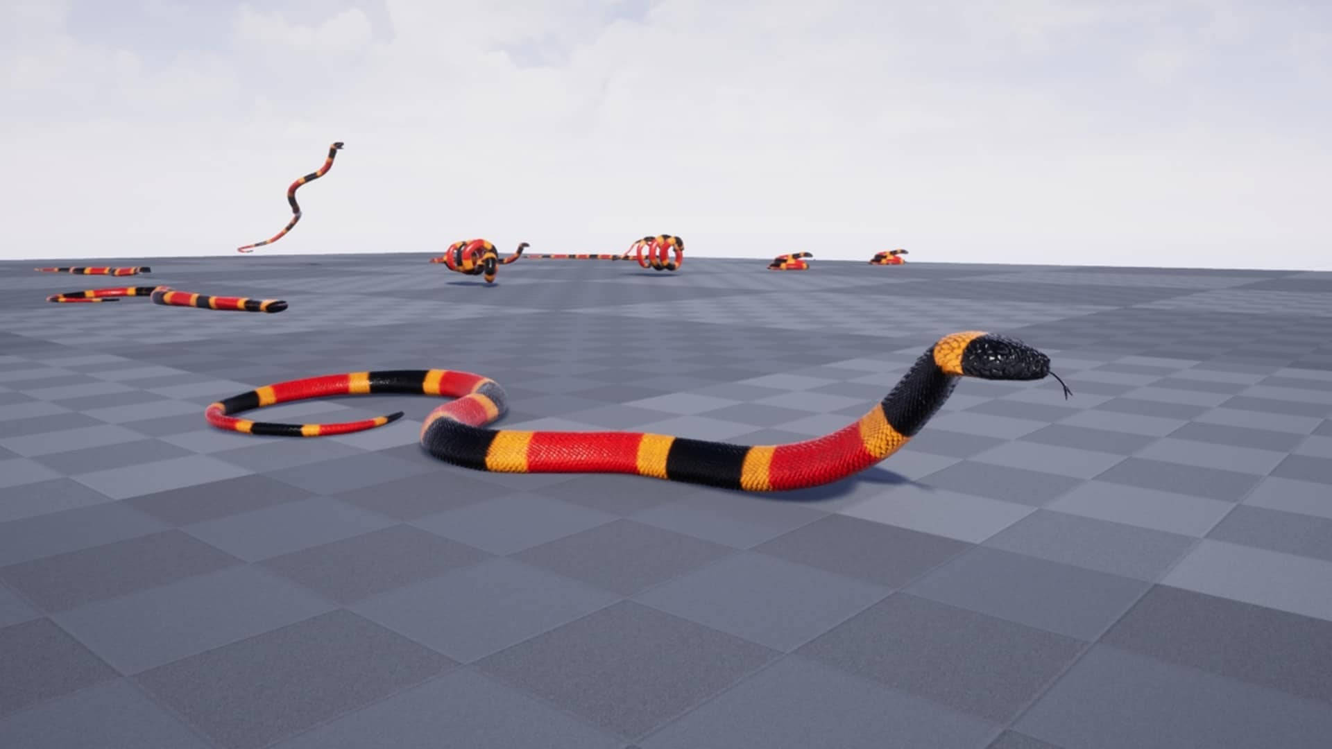 Eastern Coral Snake 3d Sketch Background