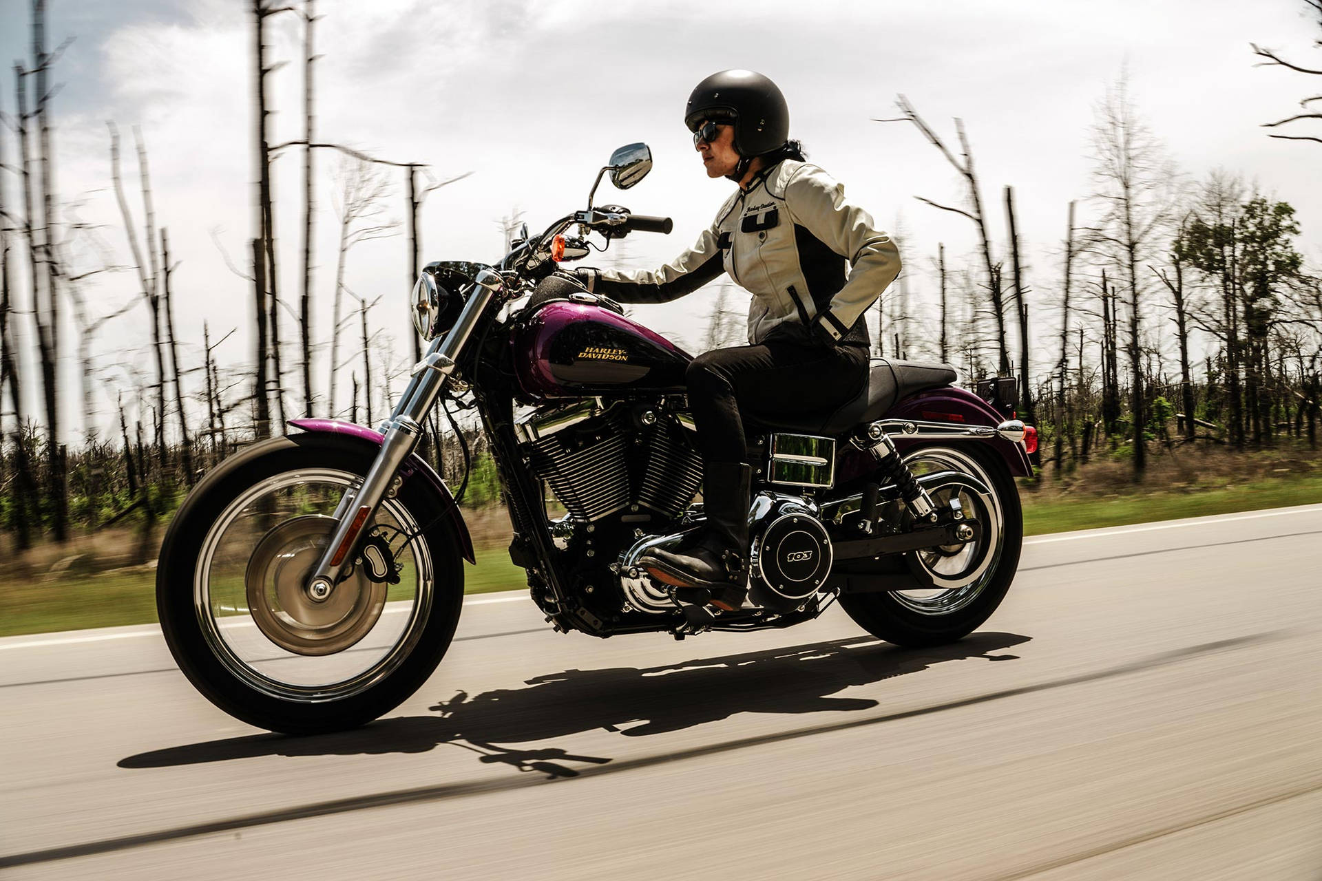 Easy Rider Motorist Big Purple Bike Background