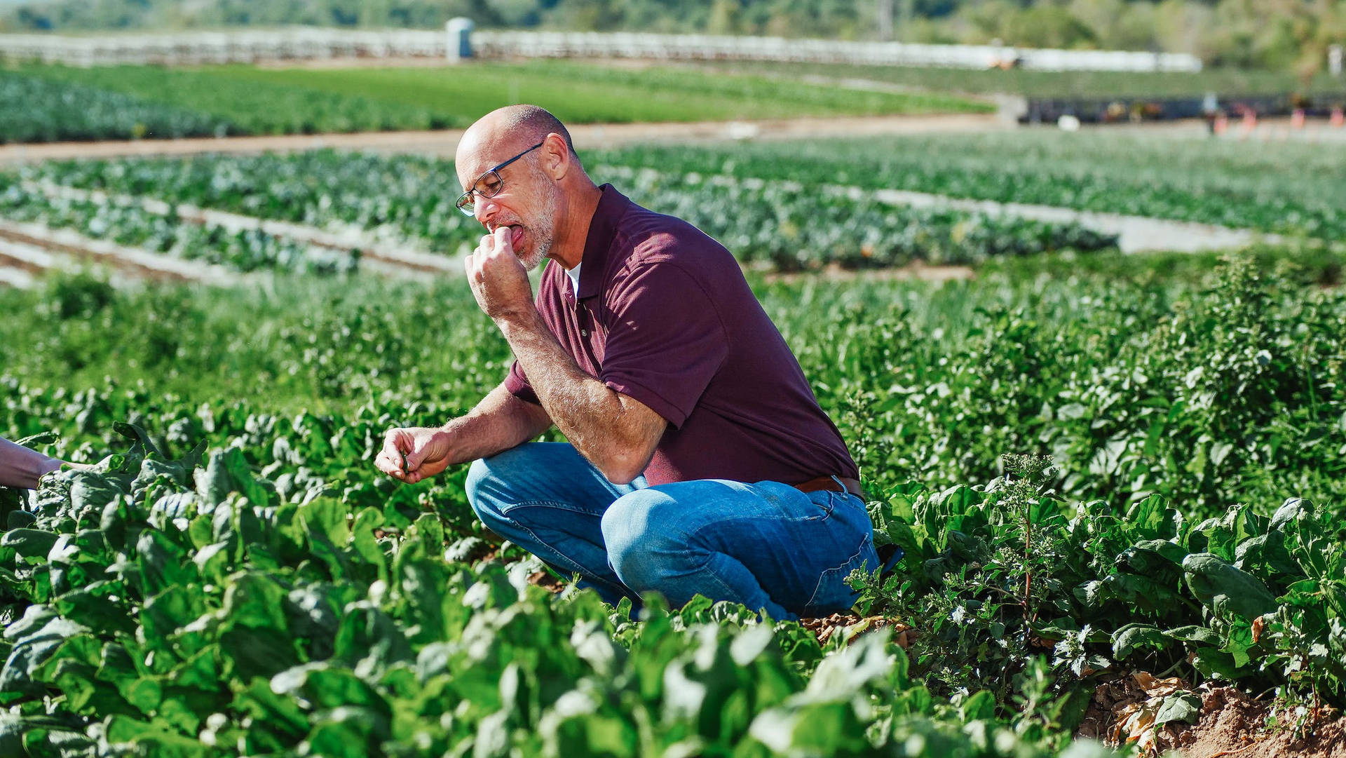 Eating Spinach Background