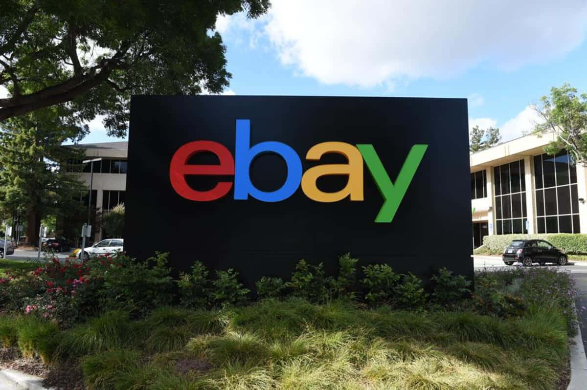 Ebay Uk Logo With Untrimmed Grass