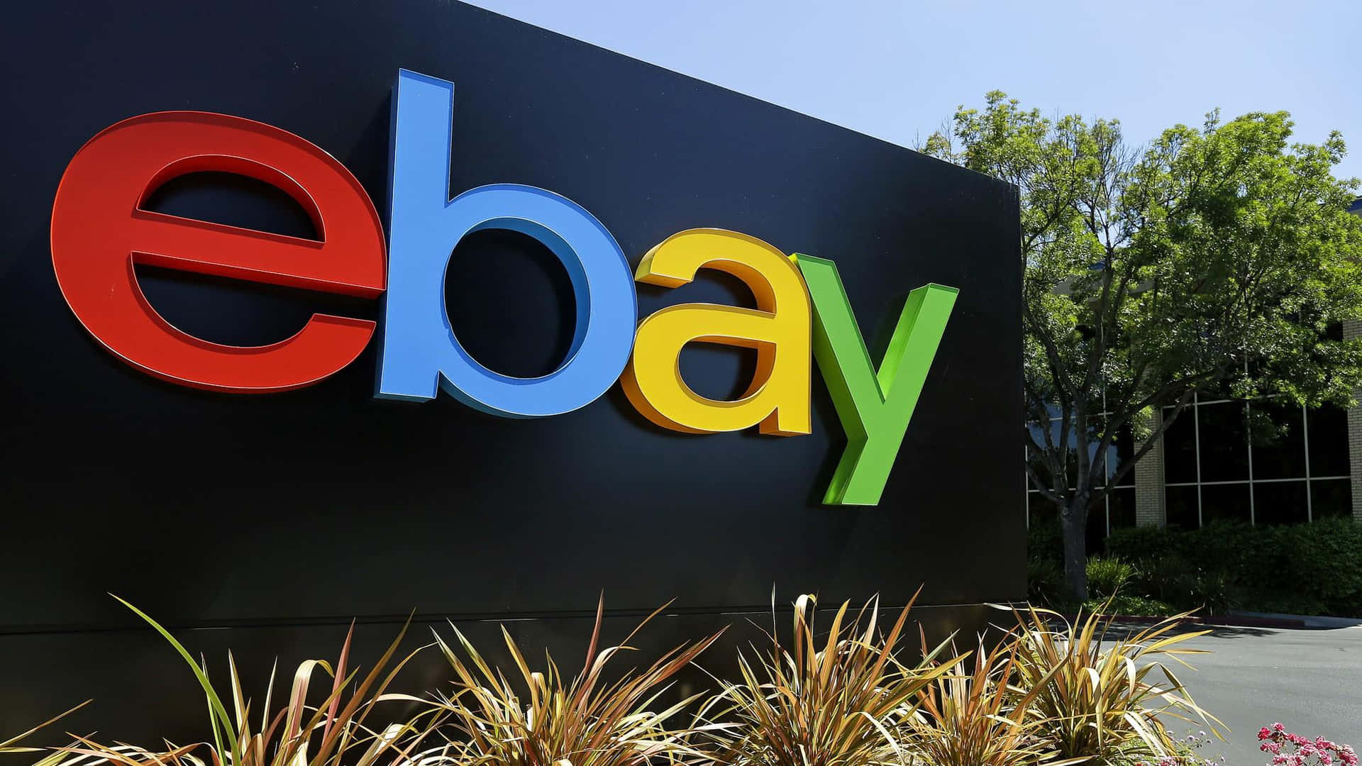 Ebay Uk Sign With Grass And Trees Background