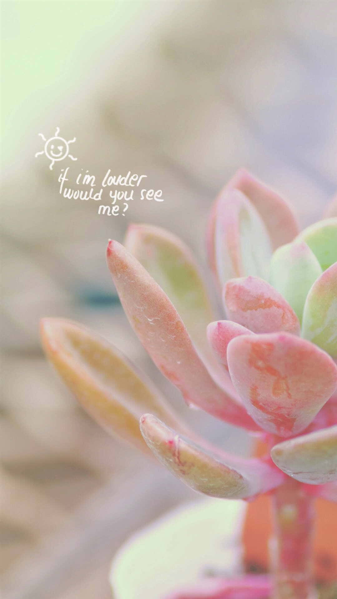 Echeveria Flowering Plant Elegant Iphone Close Up Shot Background