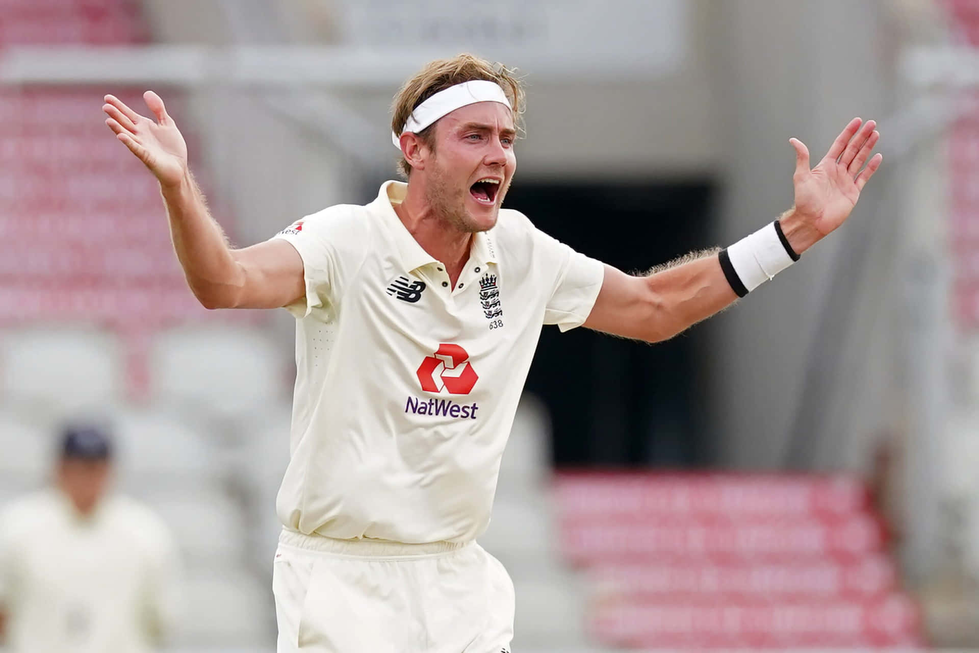 Ecstatic Victory - Stuart Broad Background