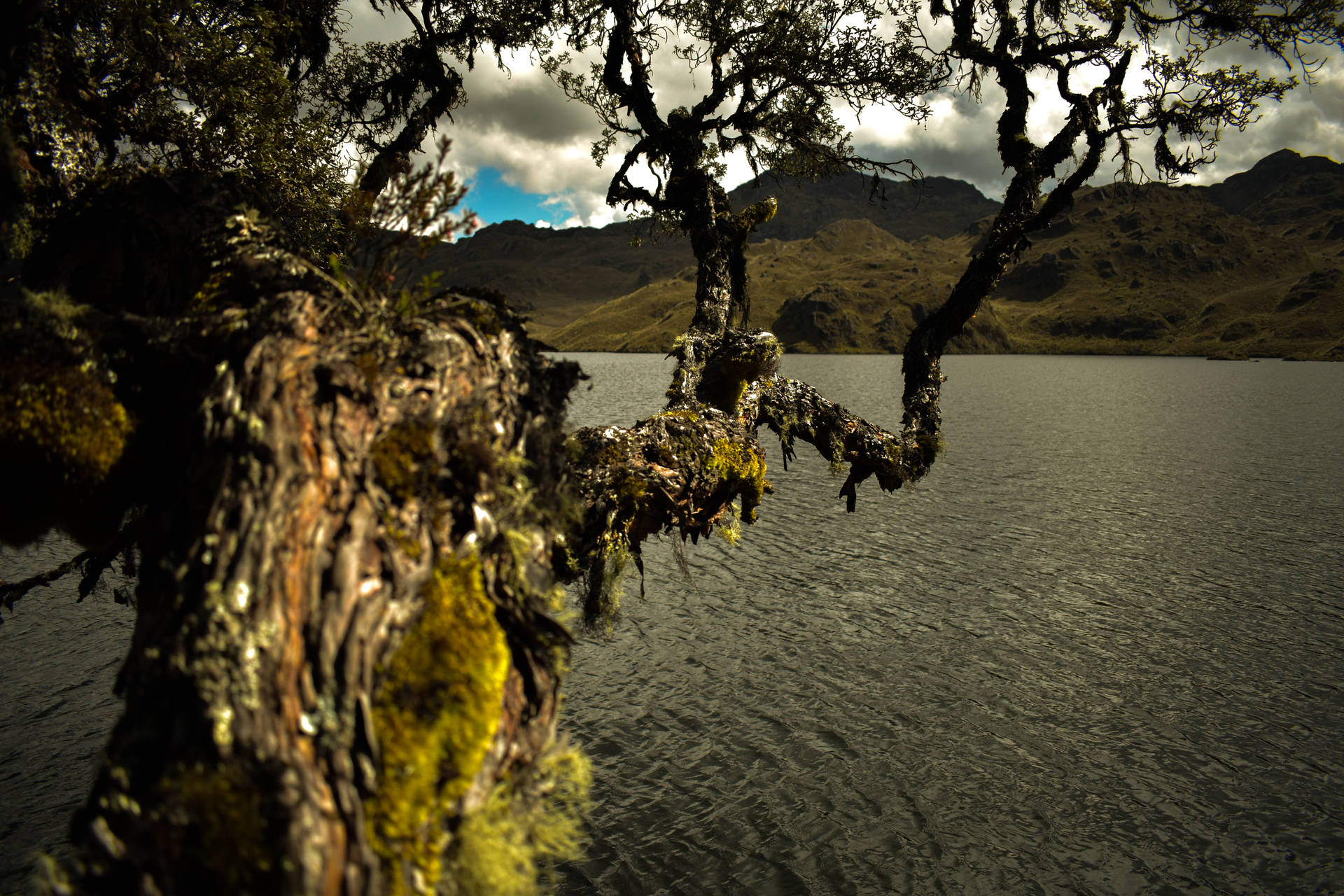 Ecuador Cajas River Background
