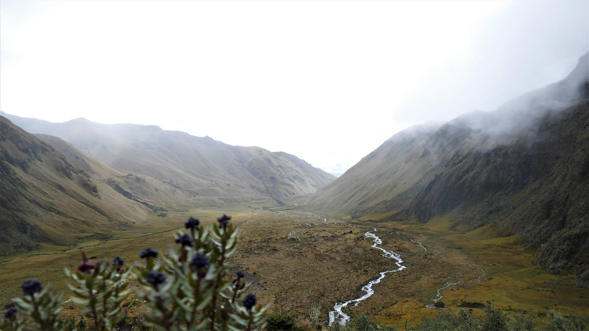 Ecuador Foggy Valley Of Sangay Background