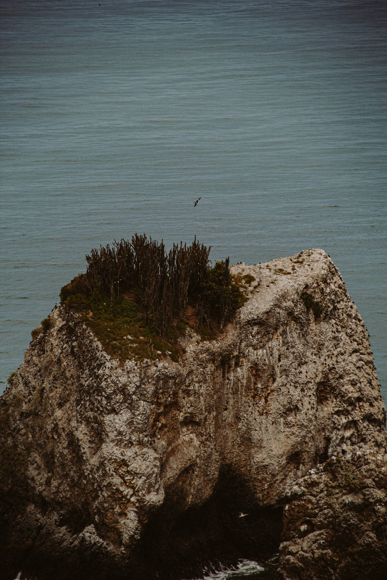 Ecuador Manabí Rock Formation Background