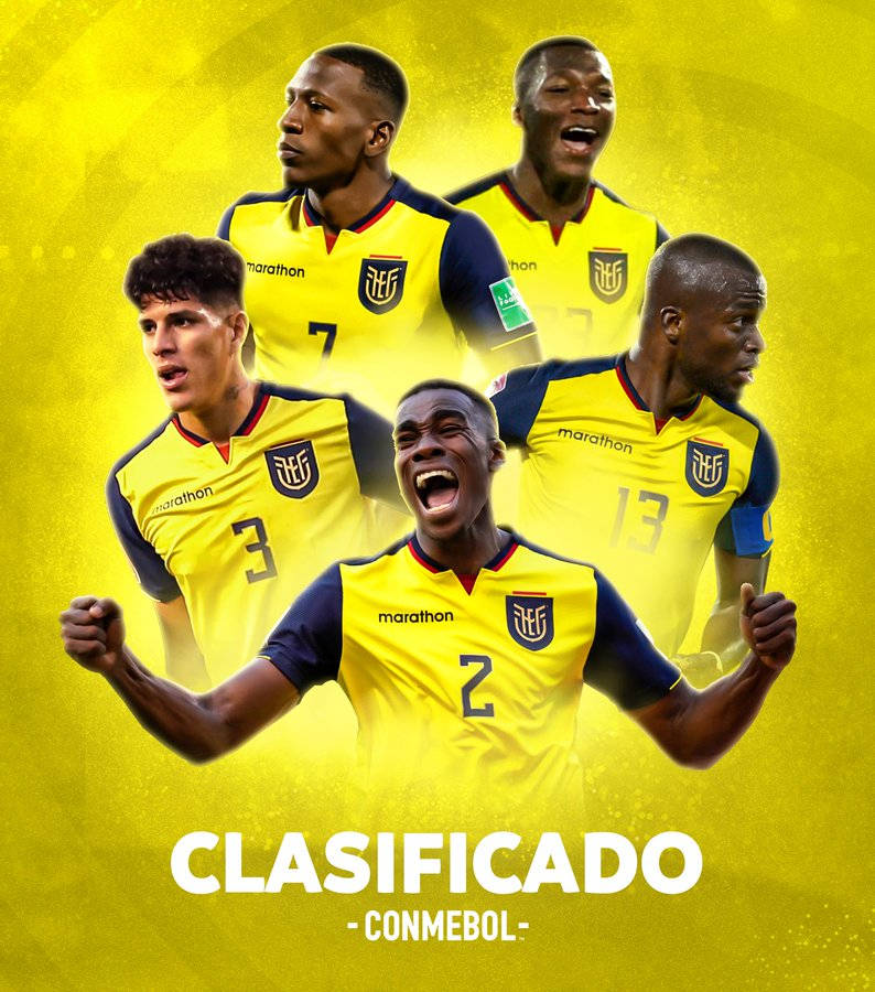 Ecuador National Football Team Fifa Lineup Background