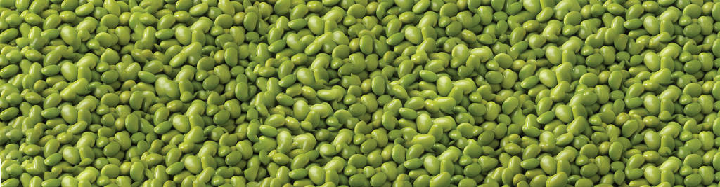 Edamame Beans Shelled Background