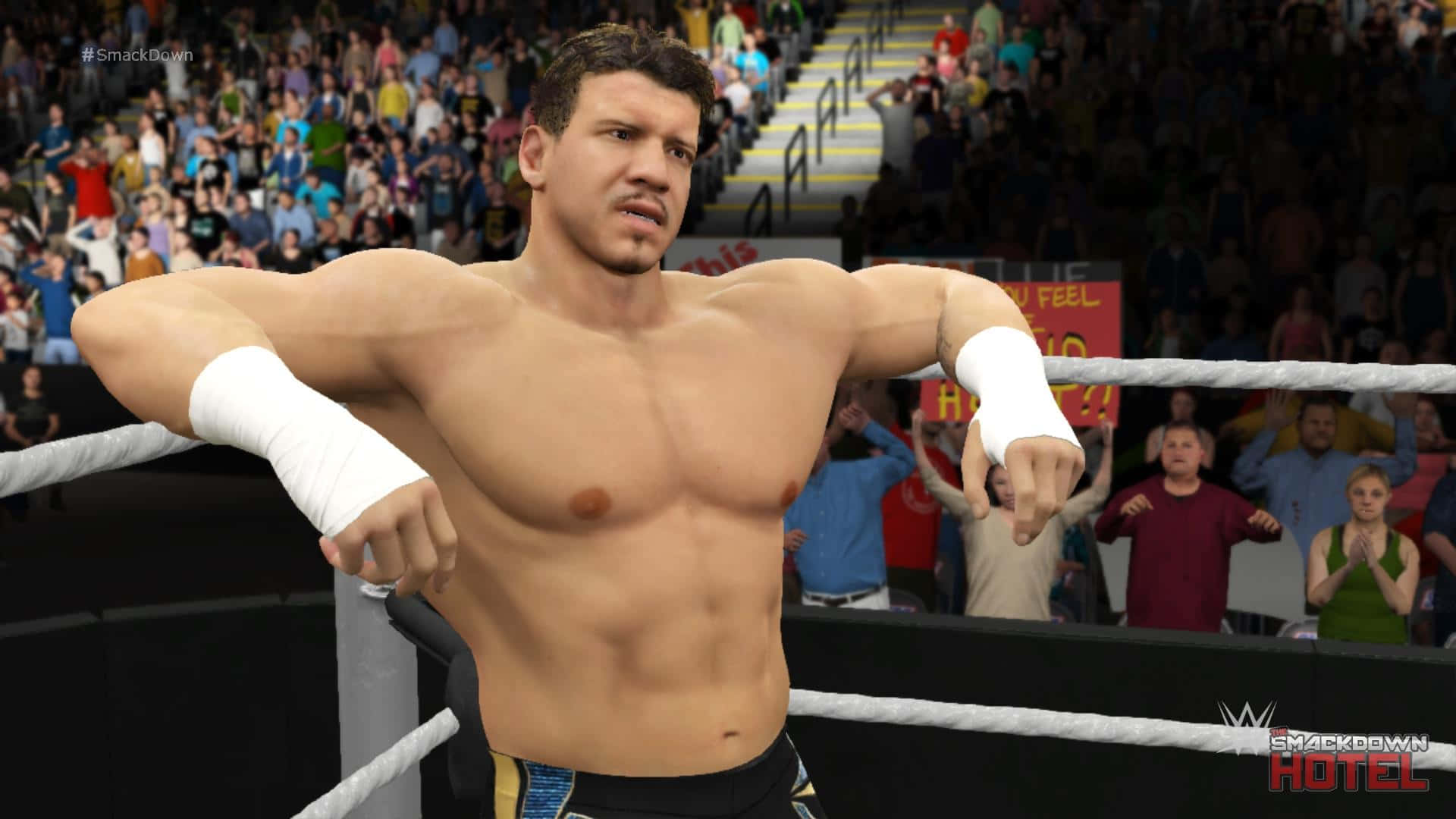 Eddie Guerrero Video Game Model Background