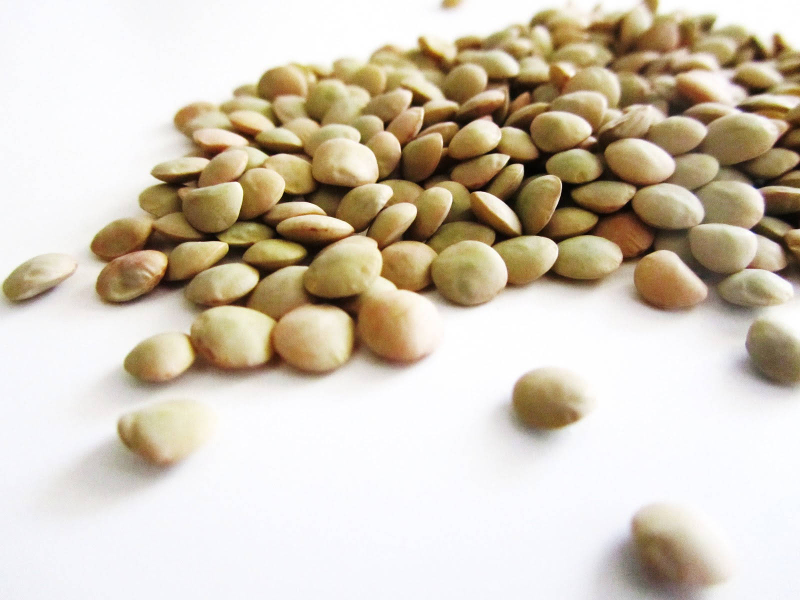 Edible Legumes Lentils