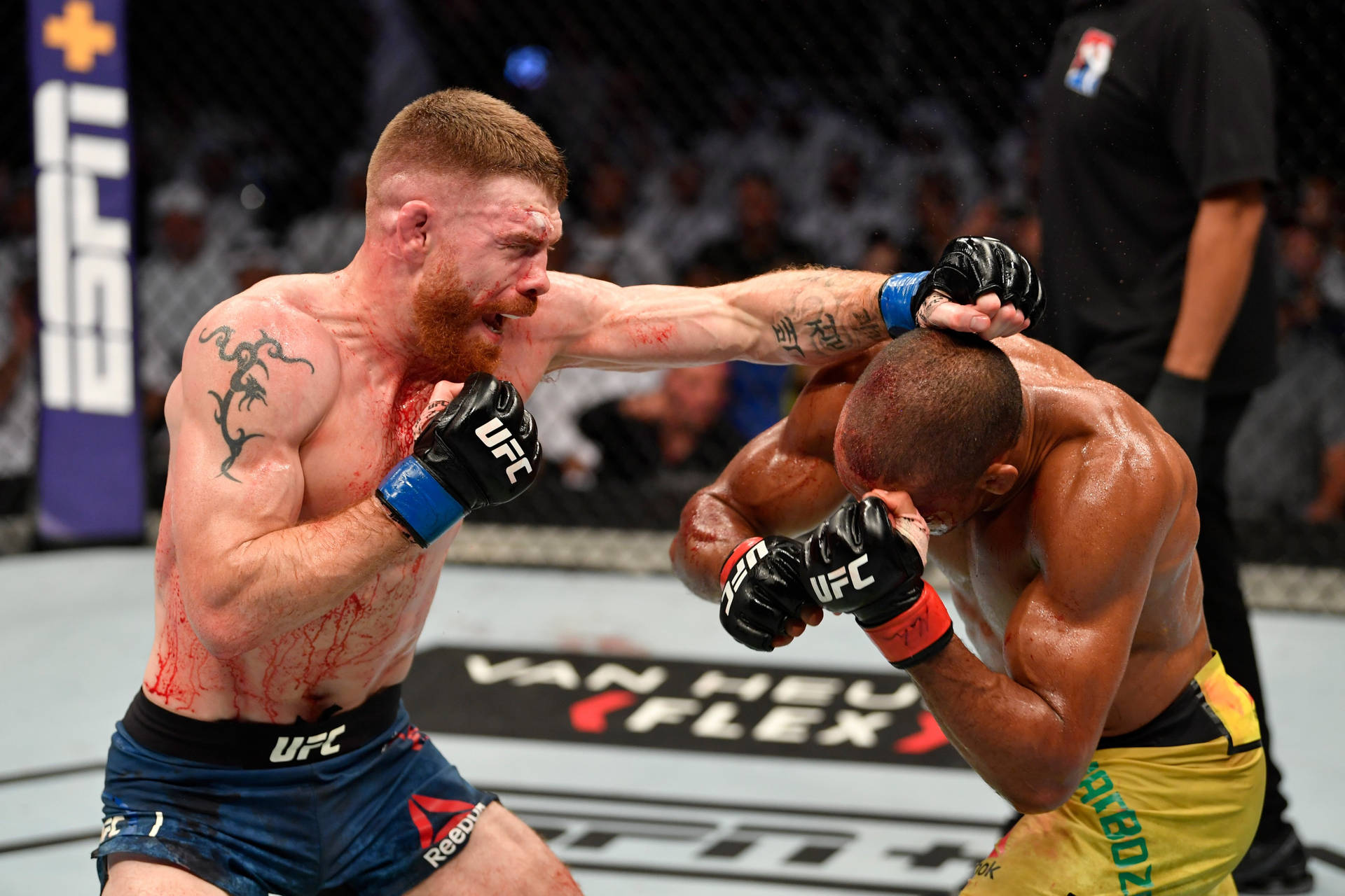 Edson Barboza Evading Punch Background