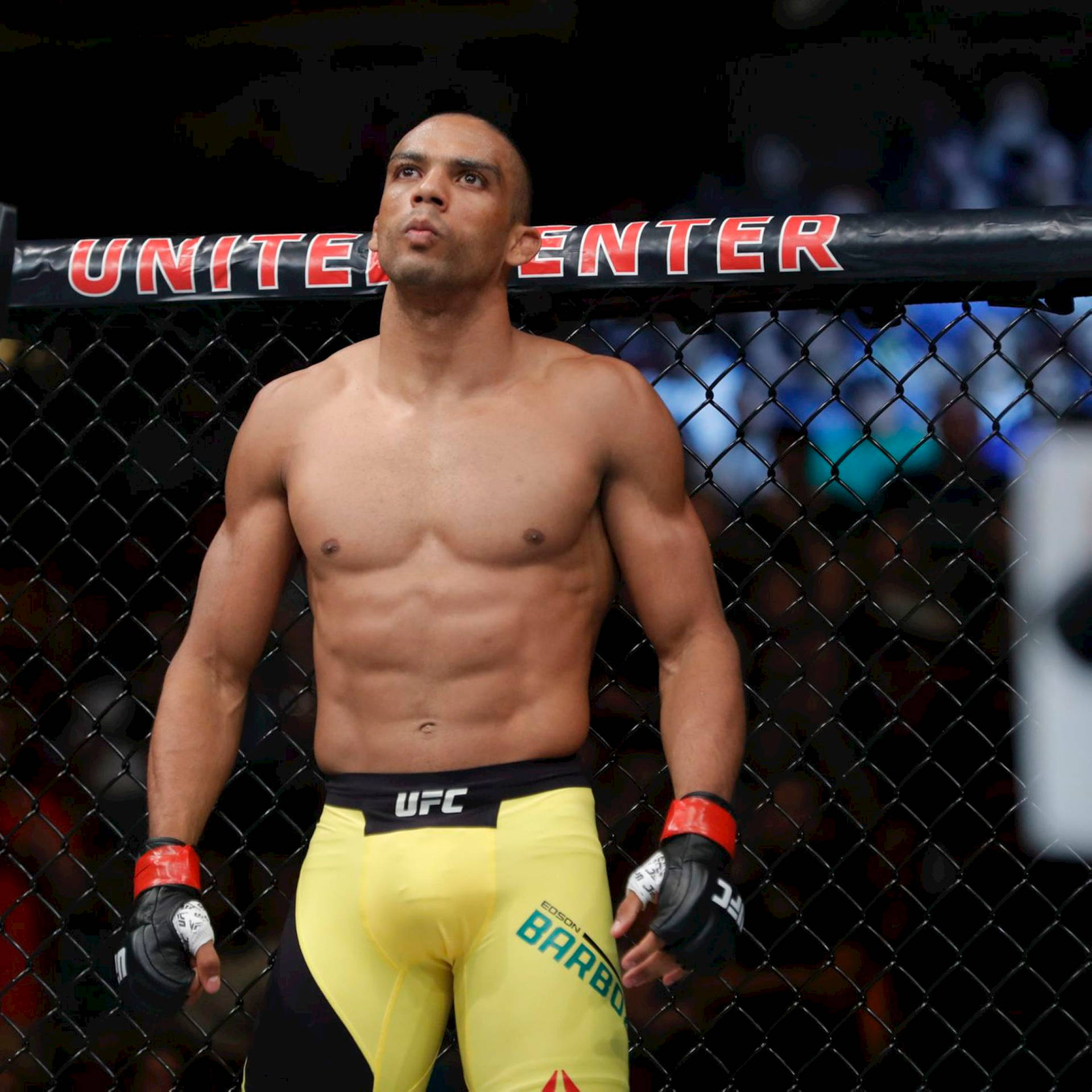 Edson Barboza In The Ring Background