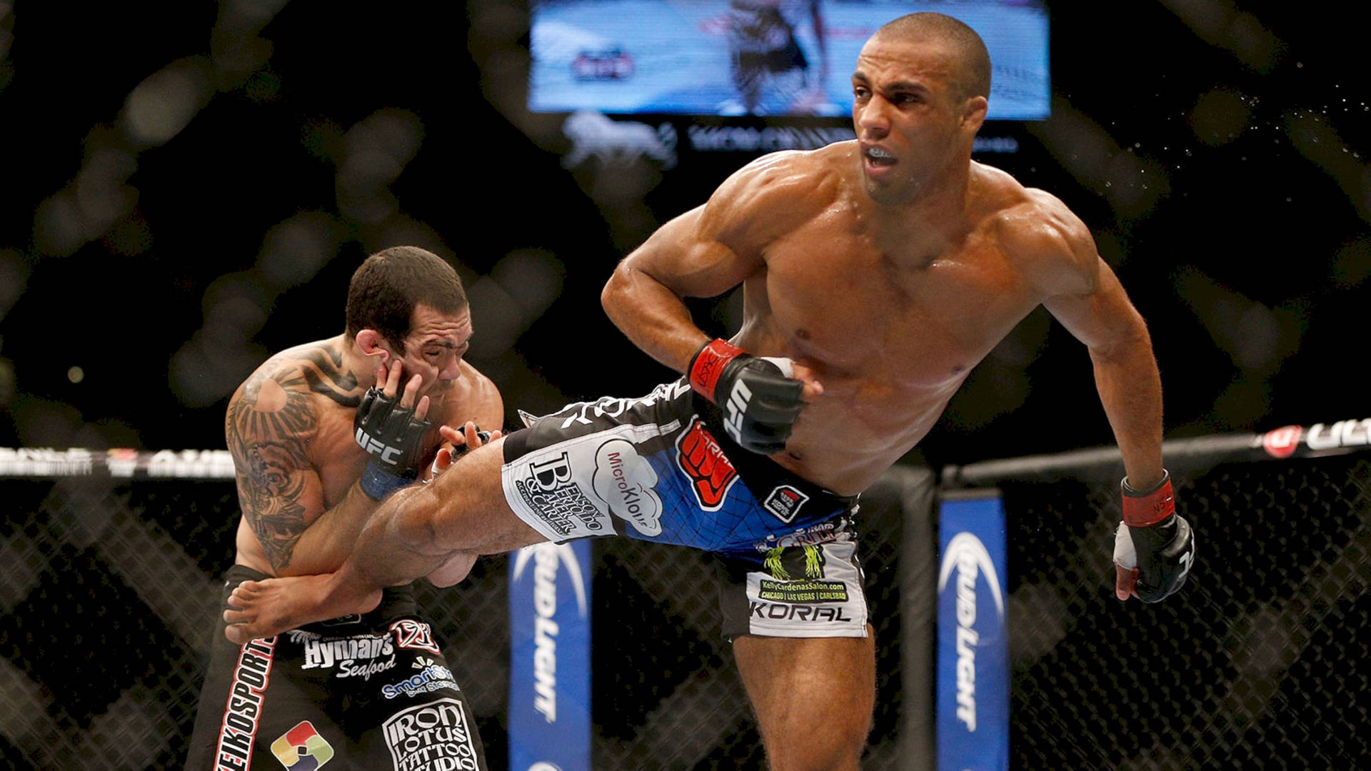 Edson Barboza Kicking His Opponent Background