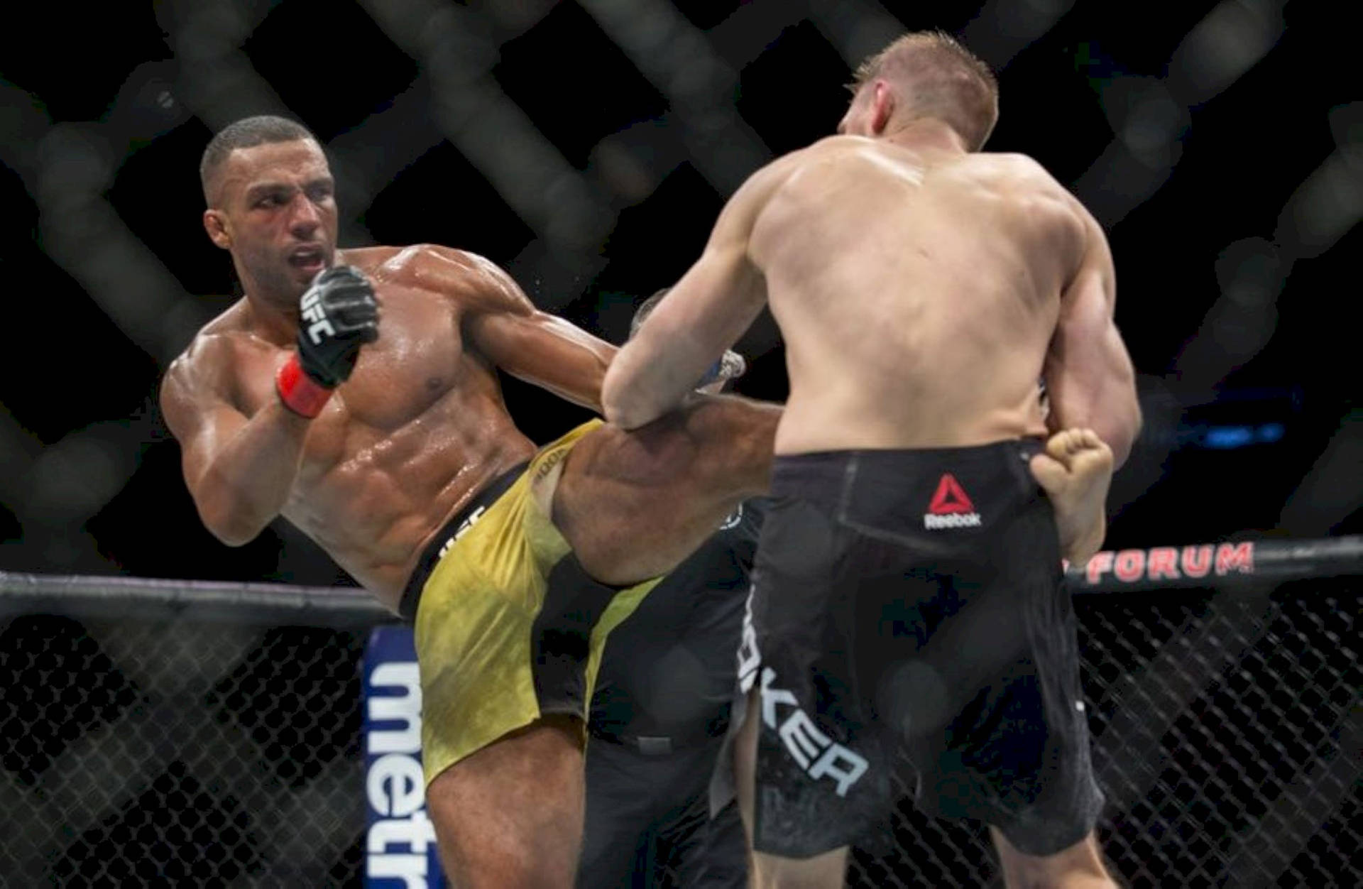 Edson Barboza Kicking Background