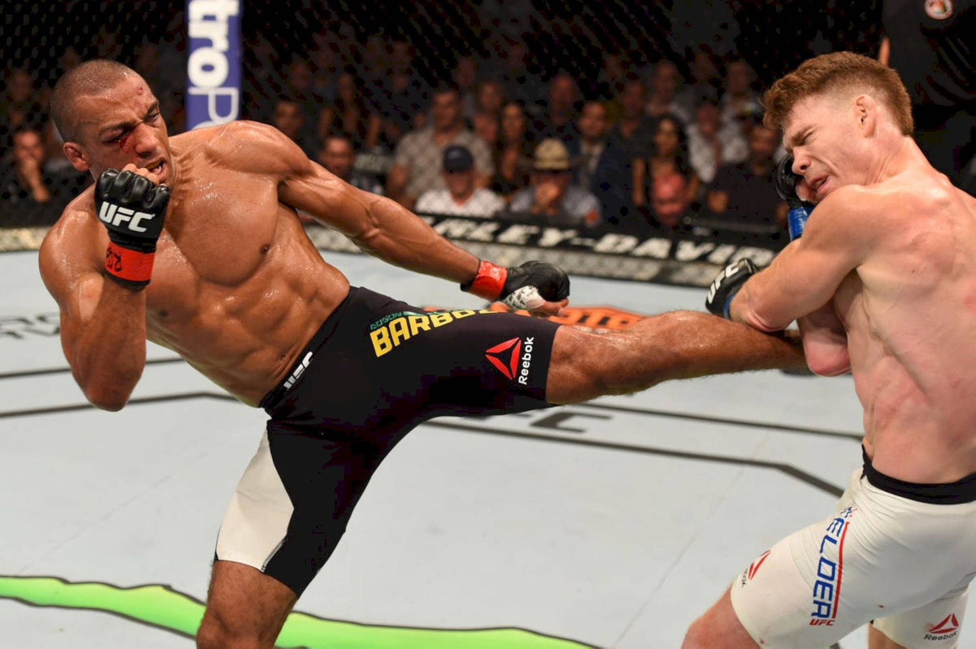 Edson Barboza Kicking Paul Felder