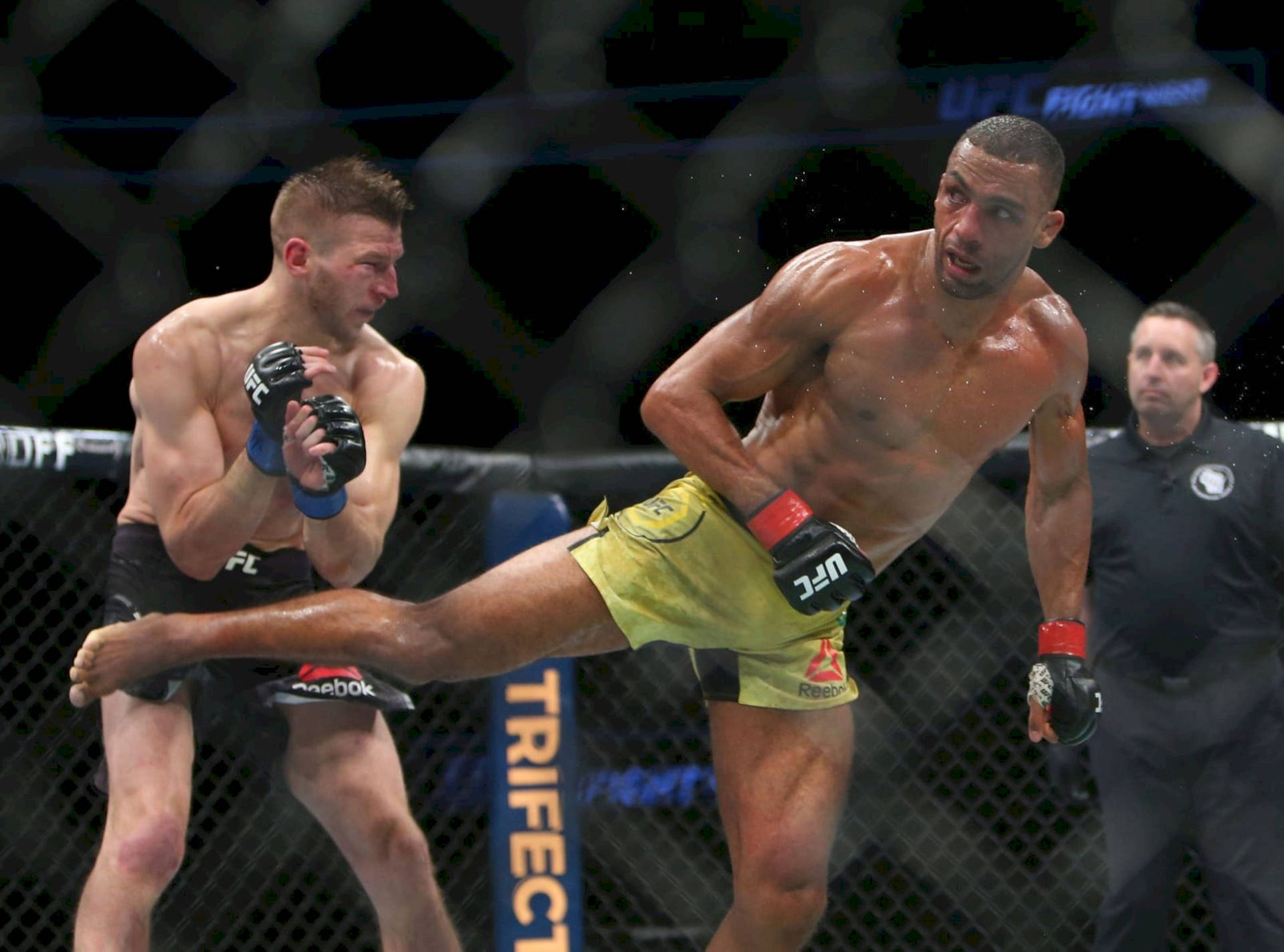 Edson Barboza Kicks Dan Hooker Background