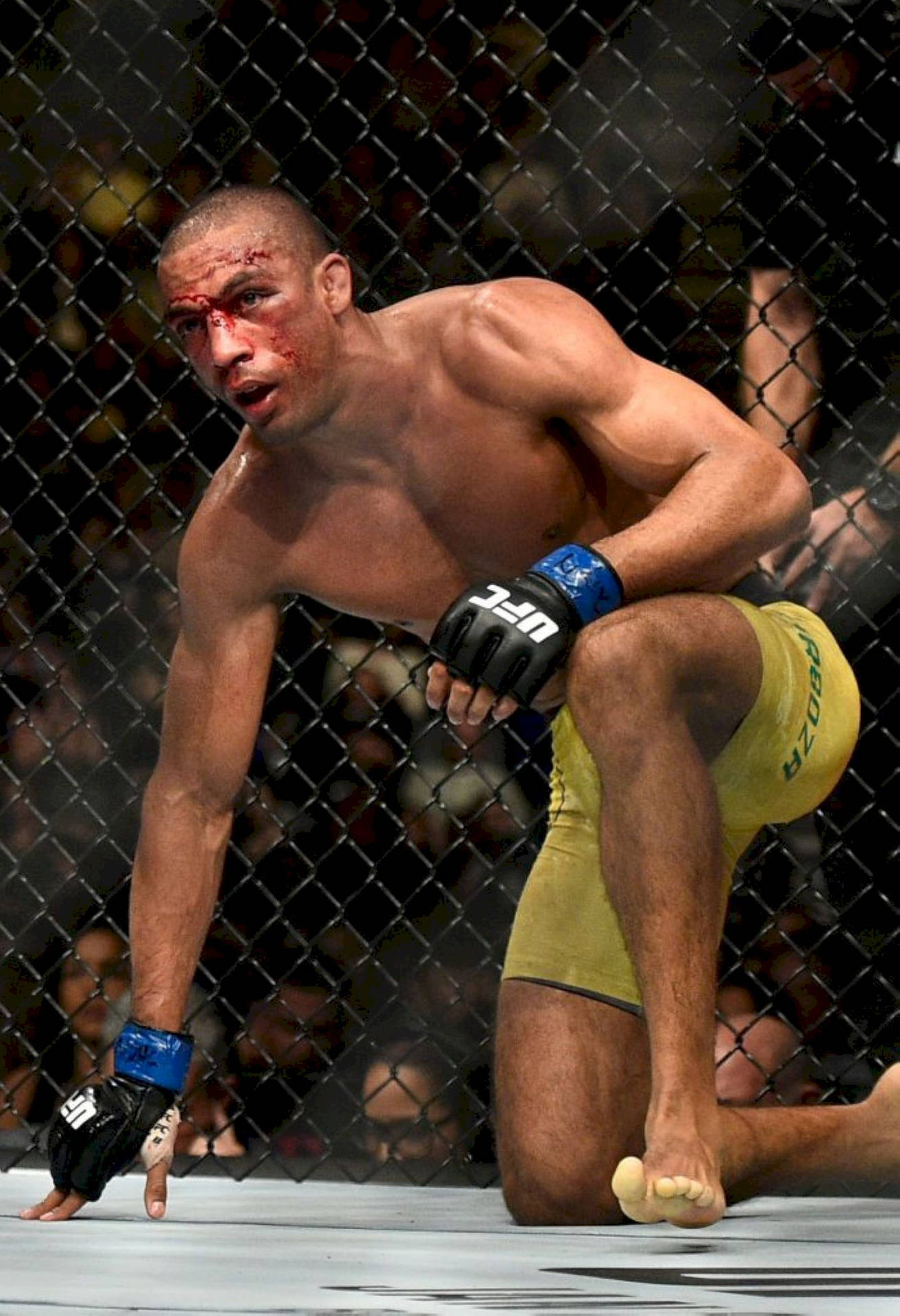 Edson Barboza On One Knee Background