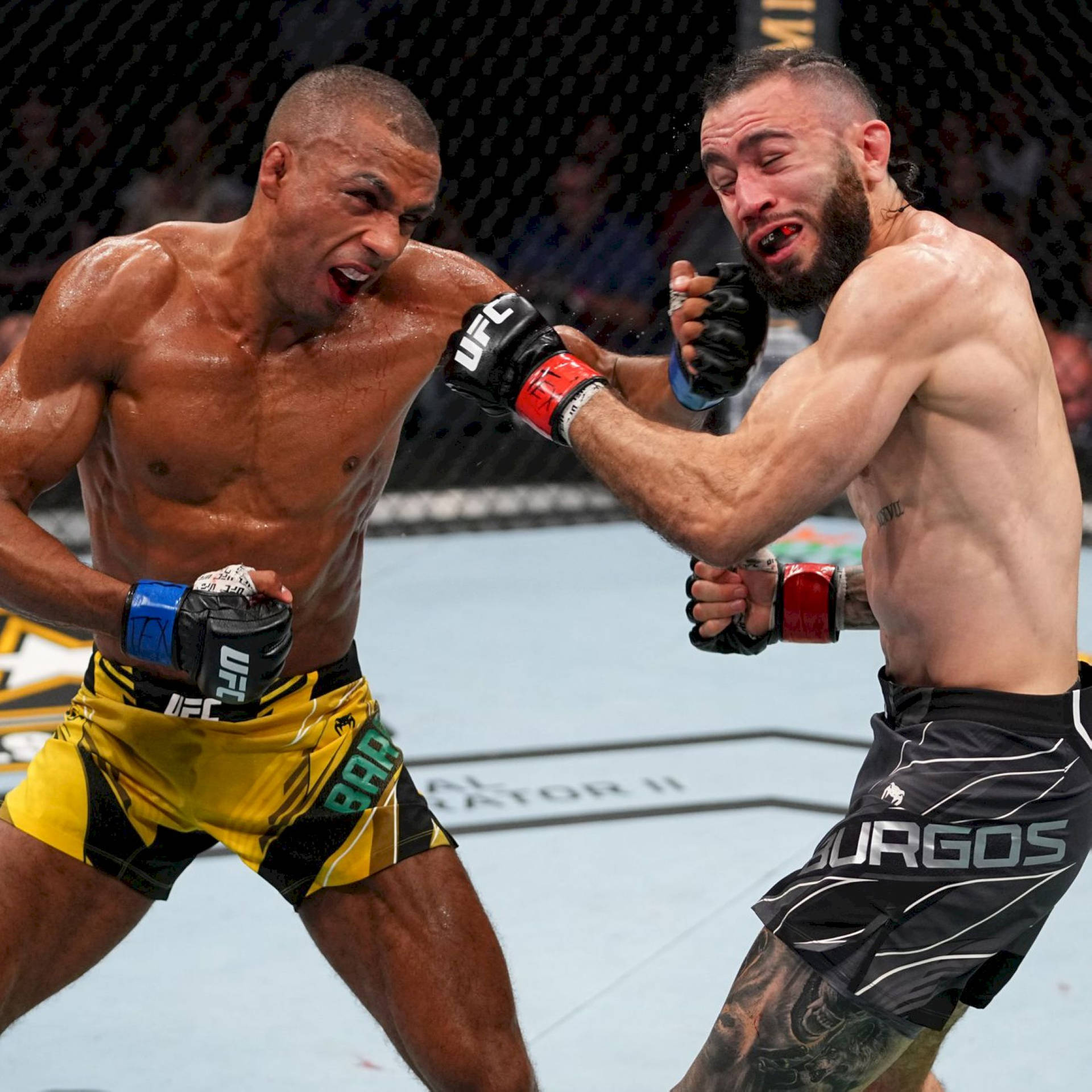 Edson Barboza Punches Shane Burgos Background