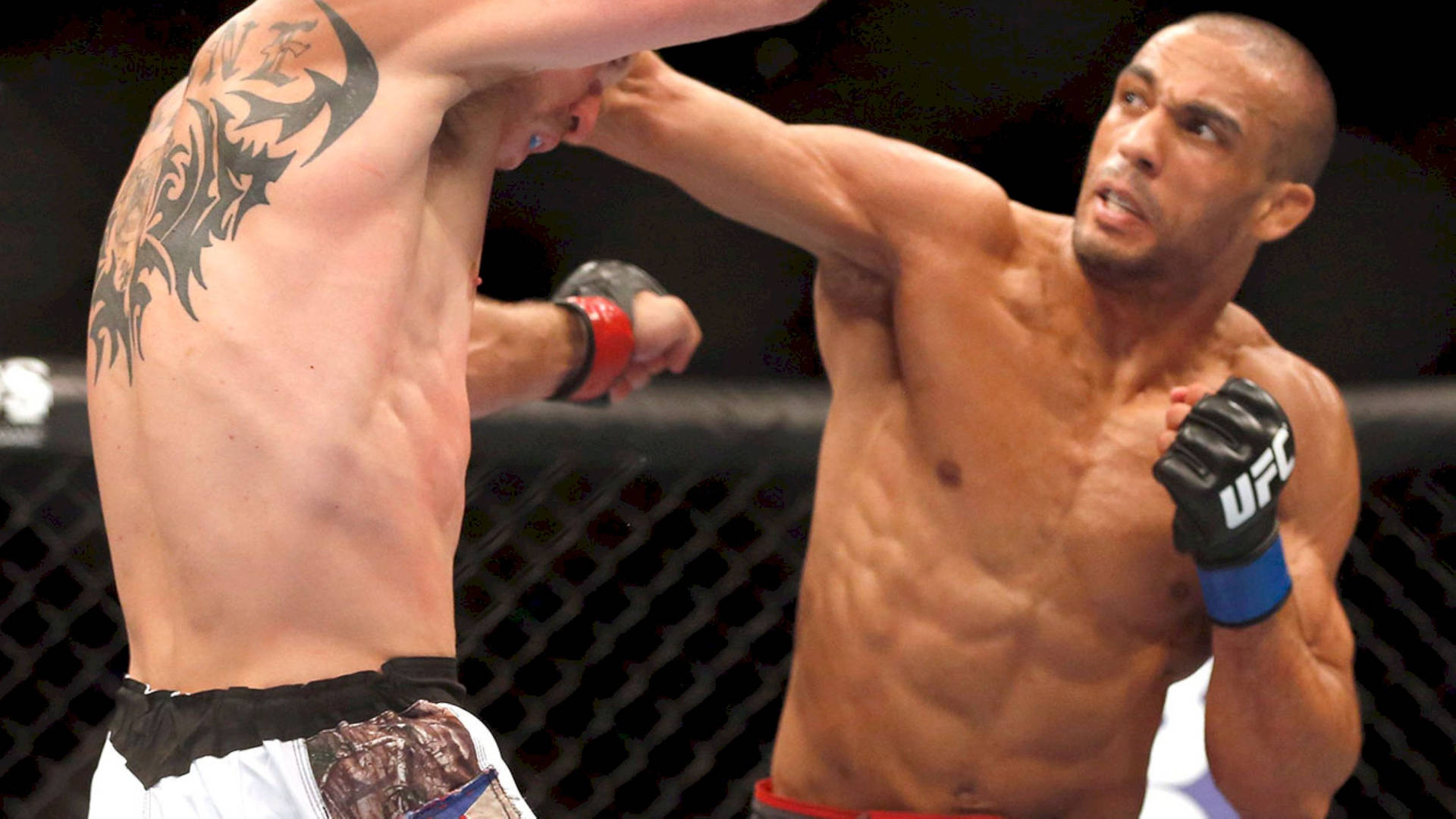 Edson Barboza Punching His Opponent Background