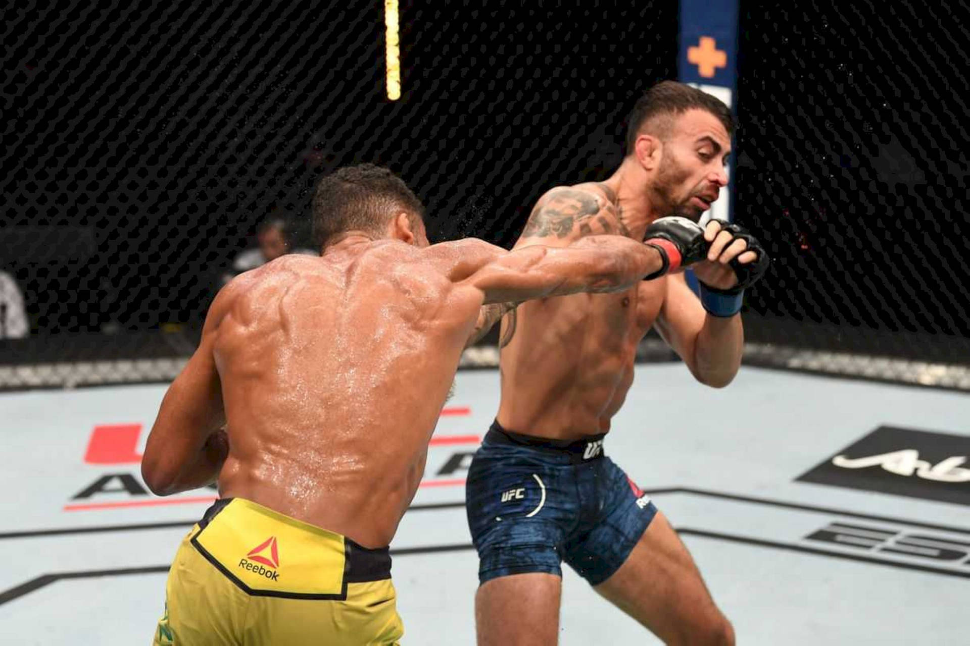 Edson Barboza Punching Makwan Amirkhani Background