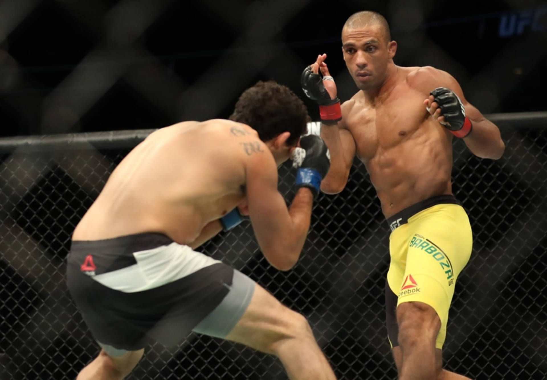 Edson Barboza Ready To Strike Background