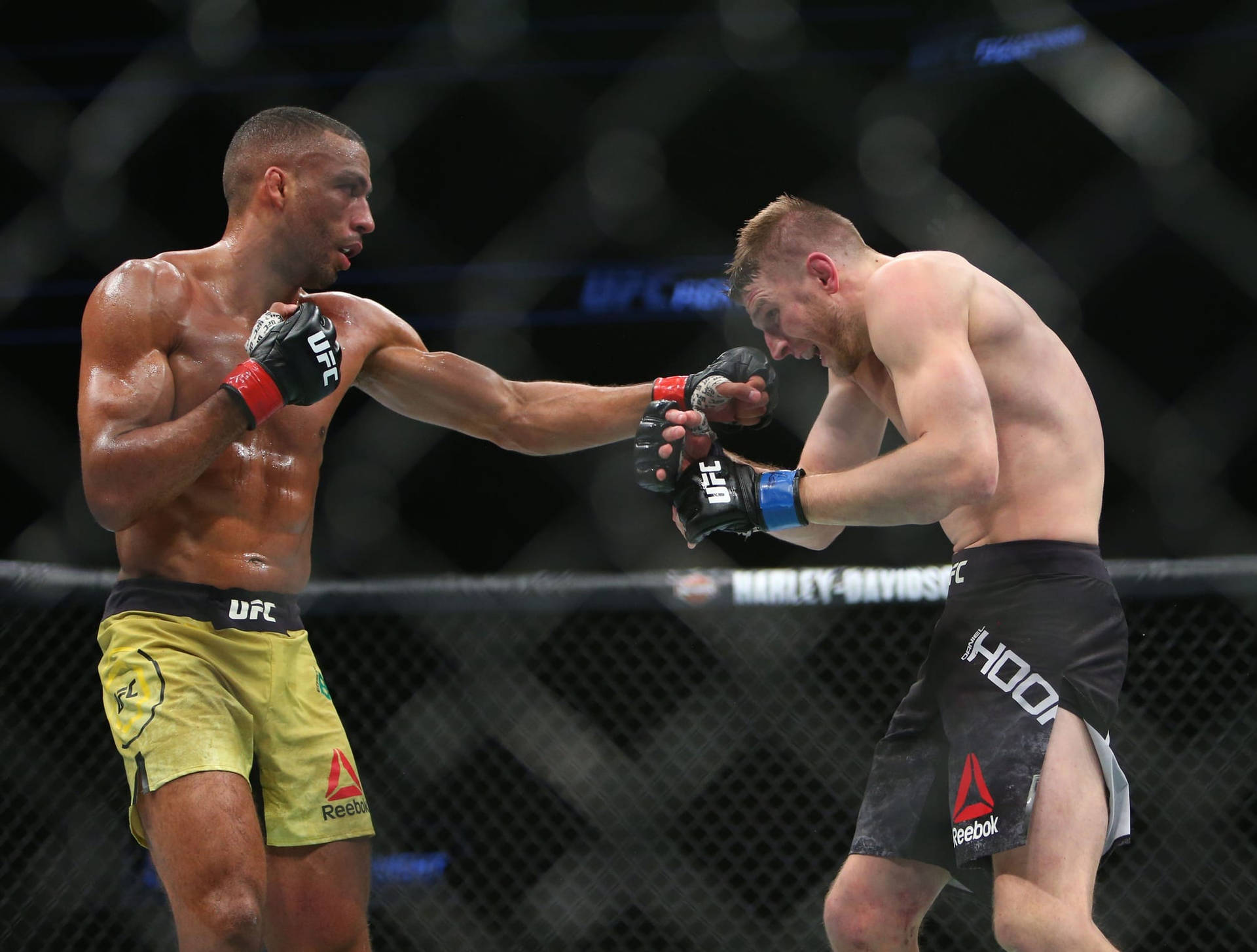 Edson Barboza Strikes Opponent Background