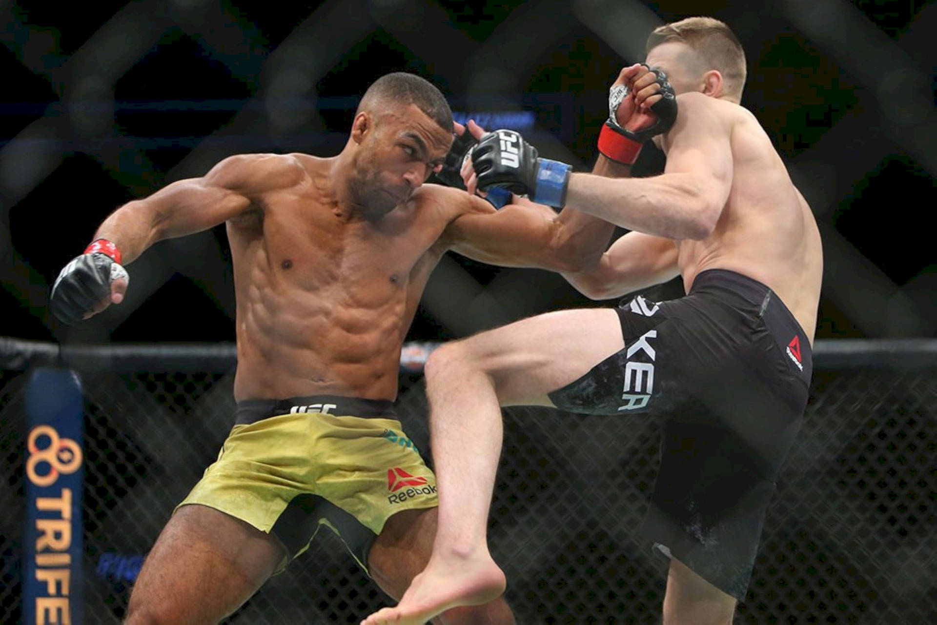 Edson Barboza Striking His Opponent Background