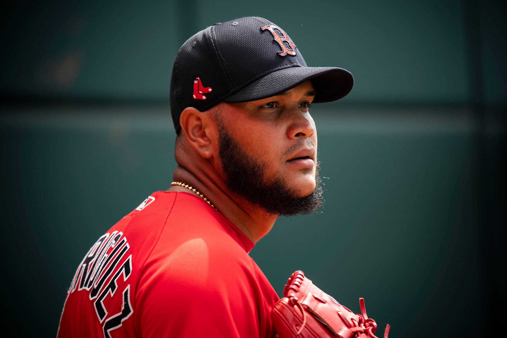 Eduardo Rodriguez Scaling Background