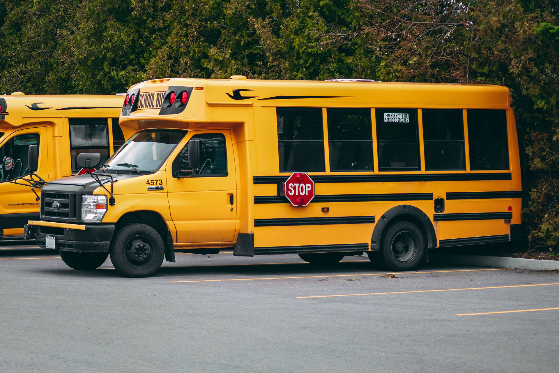 Educational School Bus
