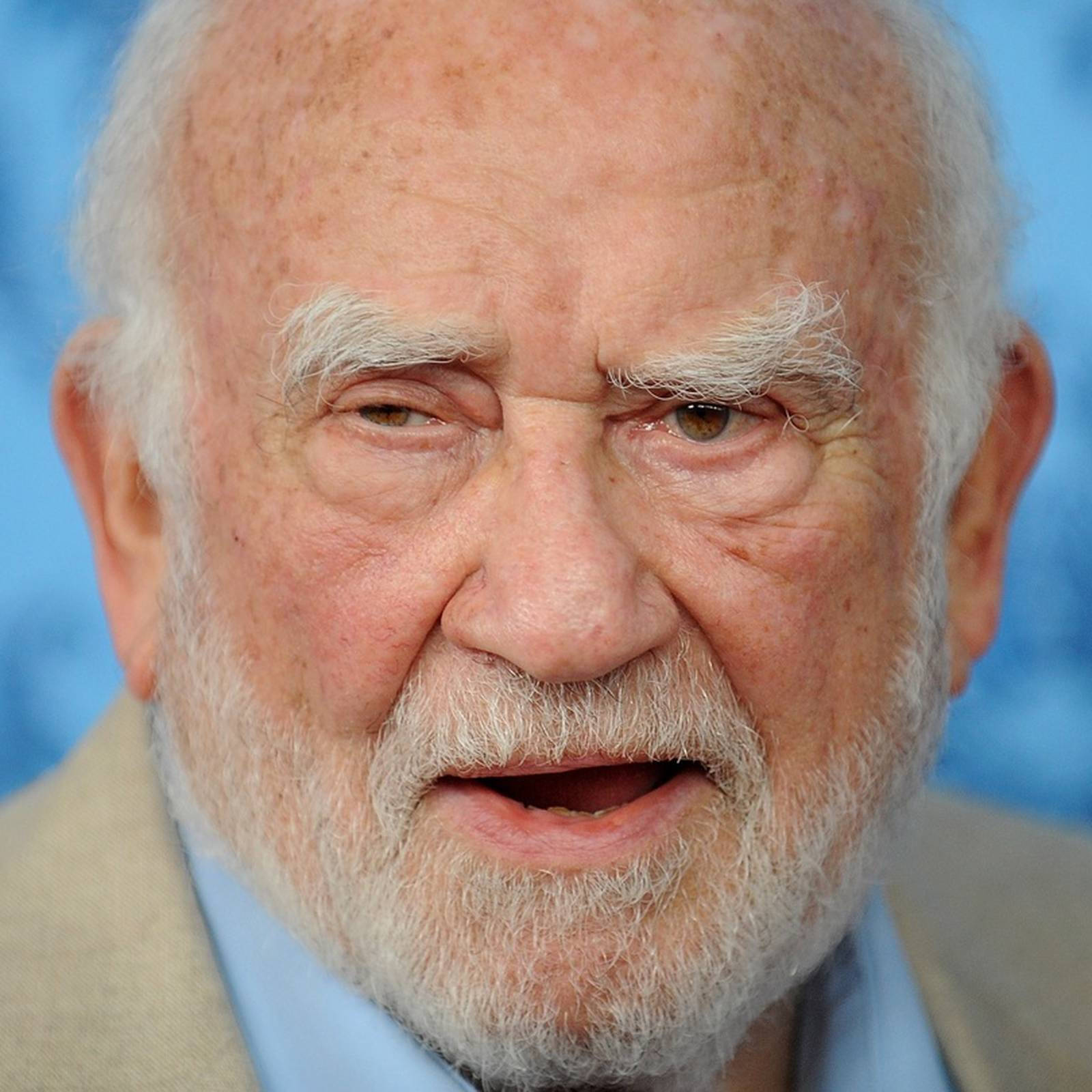 Edward Asner Close-up Gray Beard Background